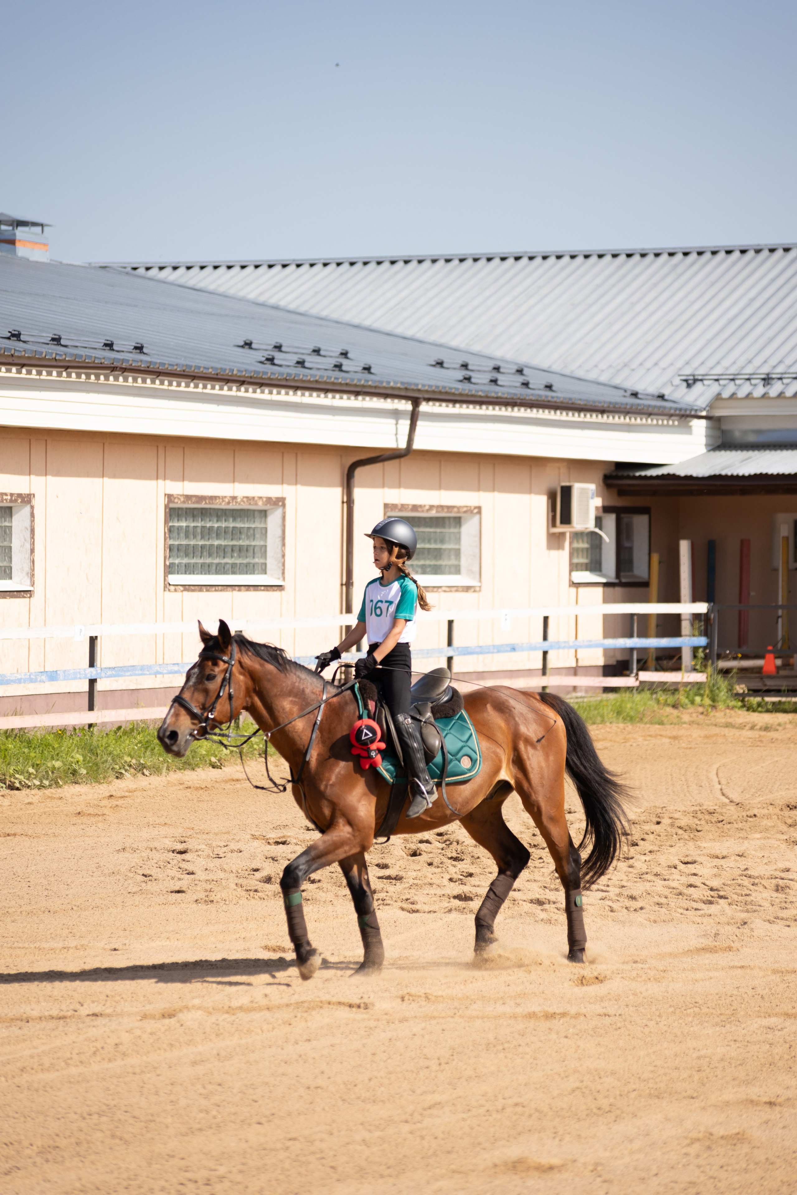 Конюшня. Фотограф в Москве и Истре