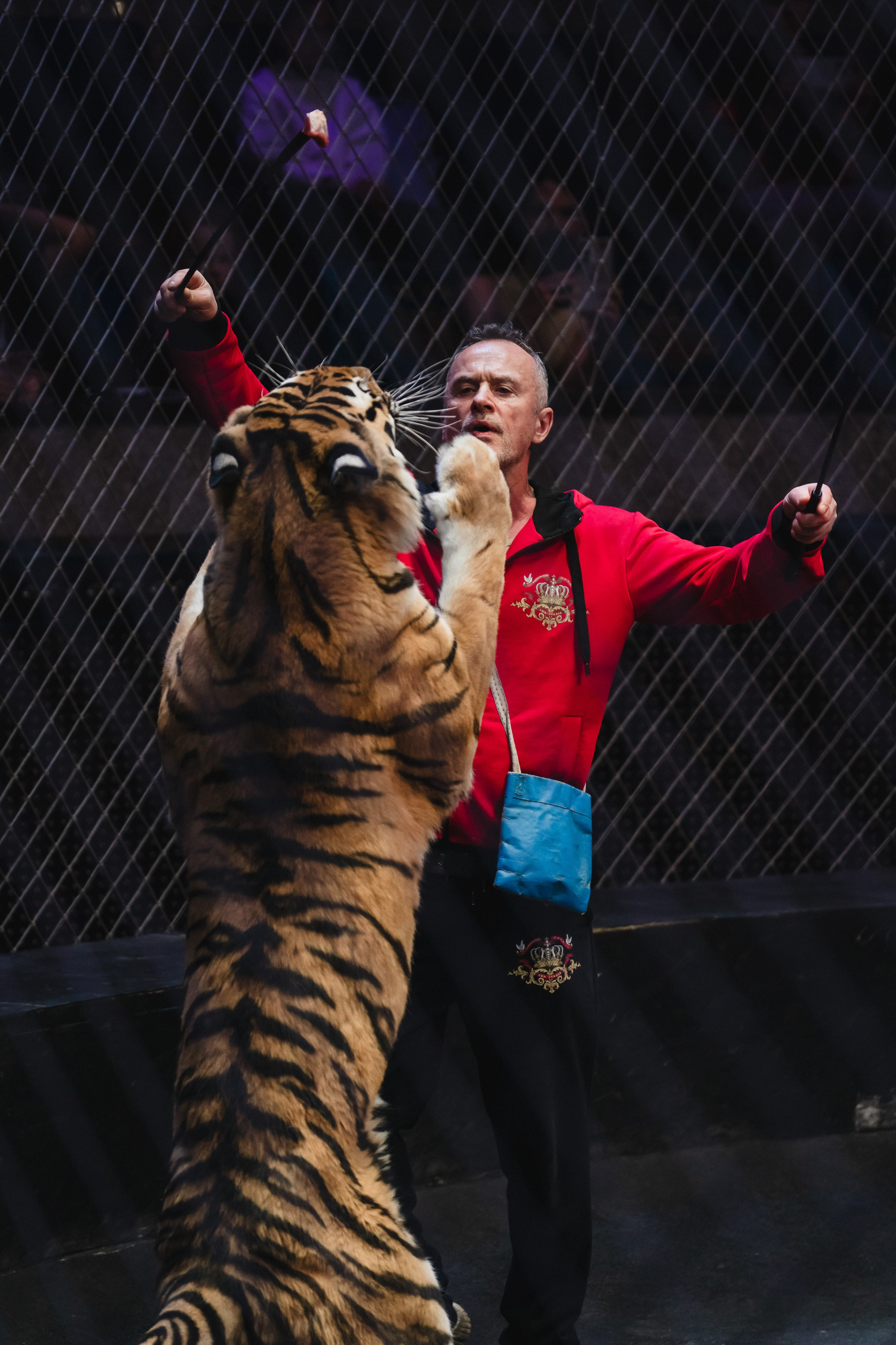 5 Континентов — Открытая репетиция. Воробьева Ксения — Спортивный и танцевальный фотограф Новосибирск