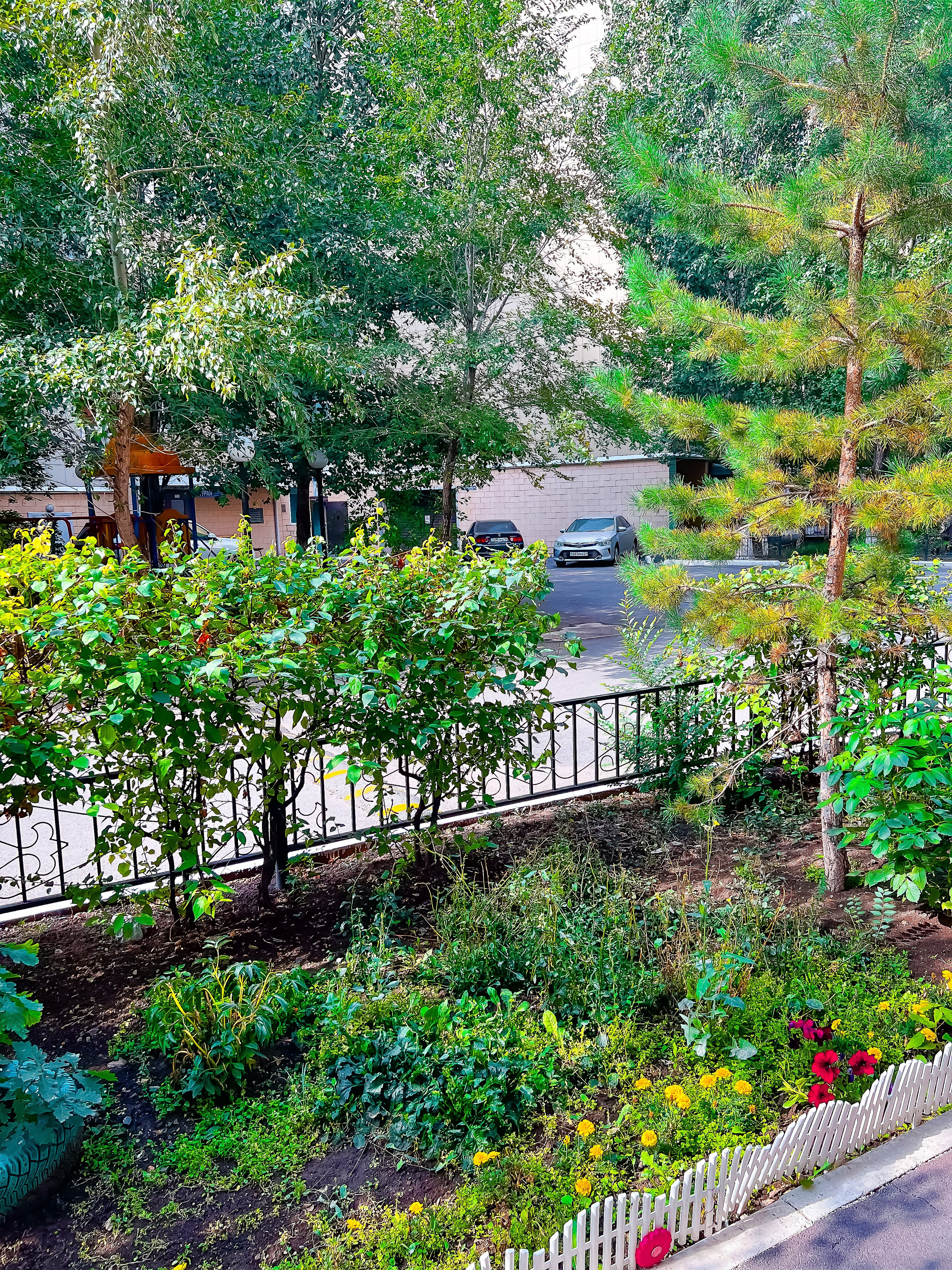 Пример четыре. Семейный и Свадебный фотограф в Астане Александр Астапов