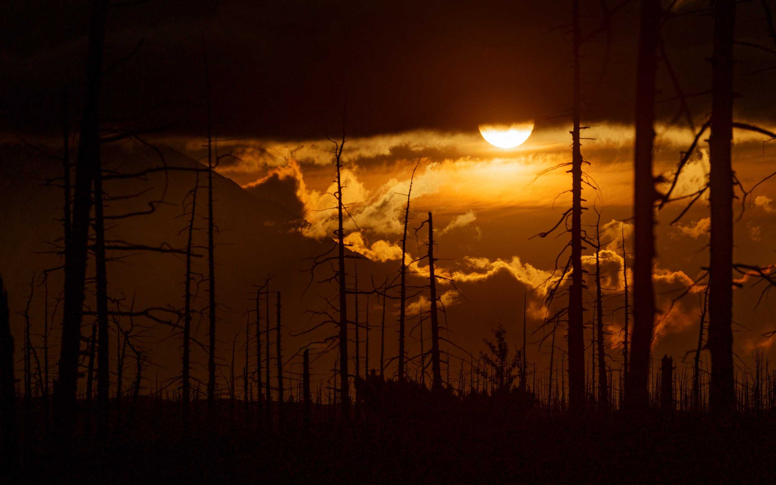 Путешествие на Камчатку. Alexey Shabanov photography
