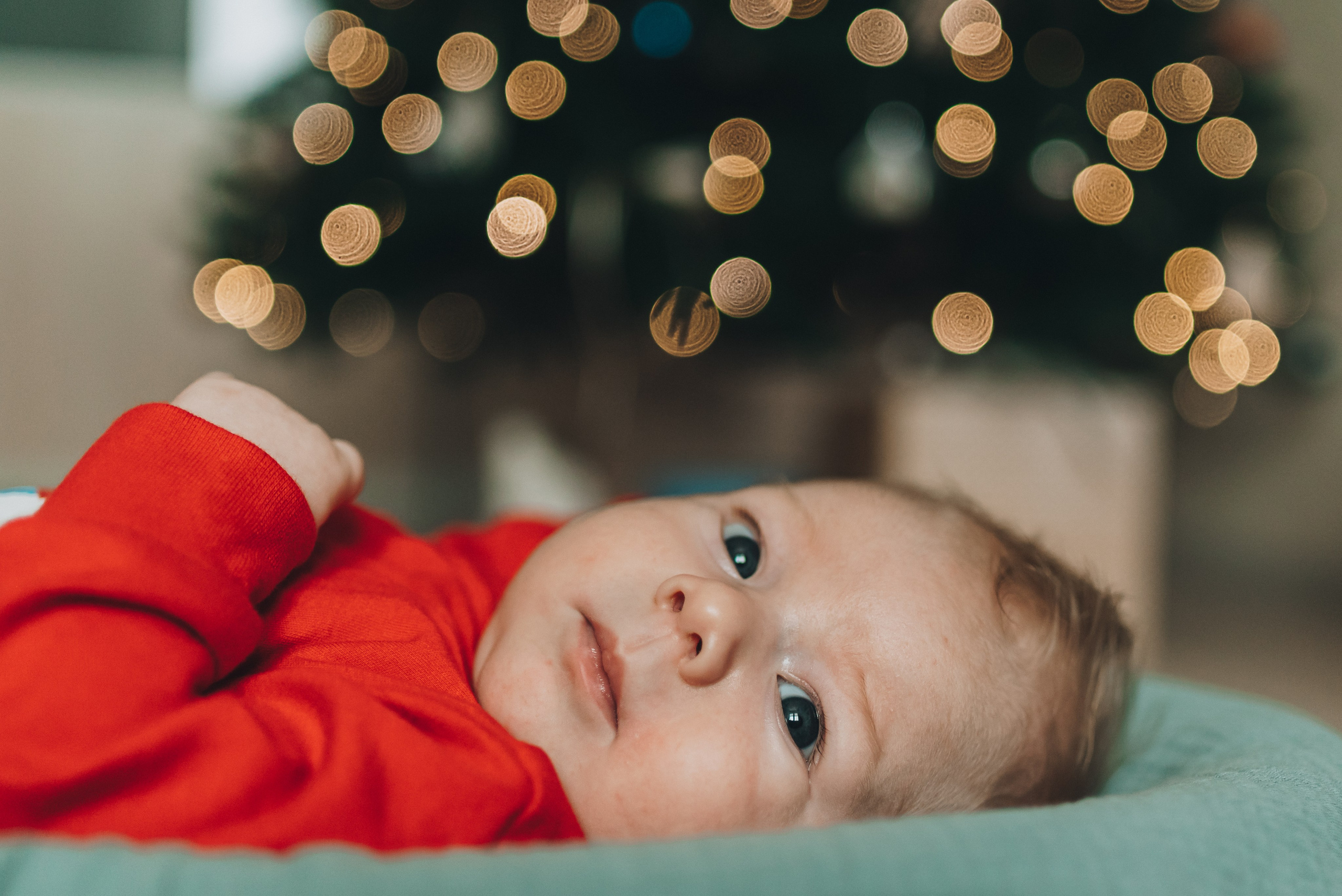 Sveta Dima Kira & Artem. Natalia Finch Photography — Family, Kids & Pet Photographer in Chicago, IL