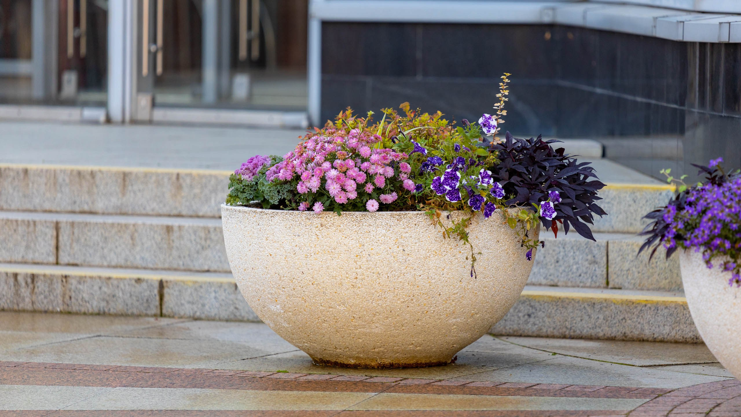 2023 09 Царицыно. Фотографии