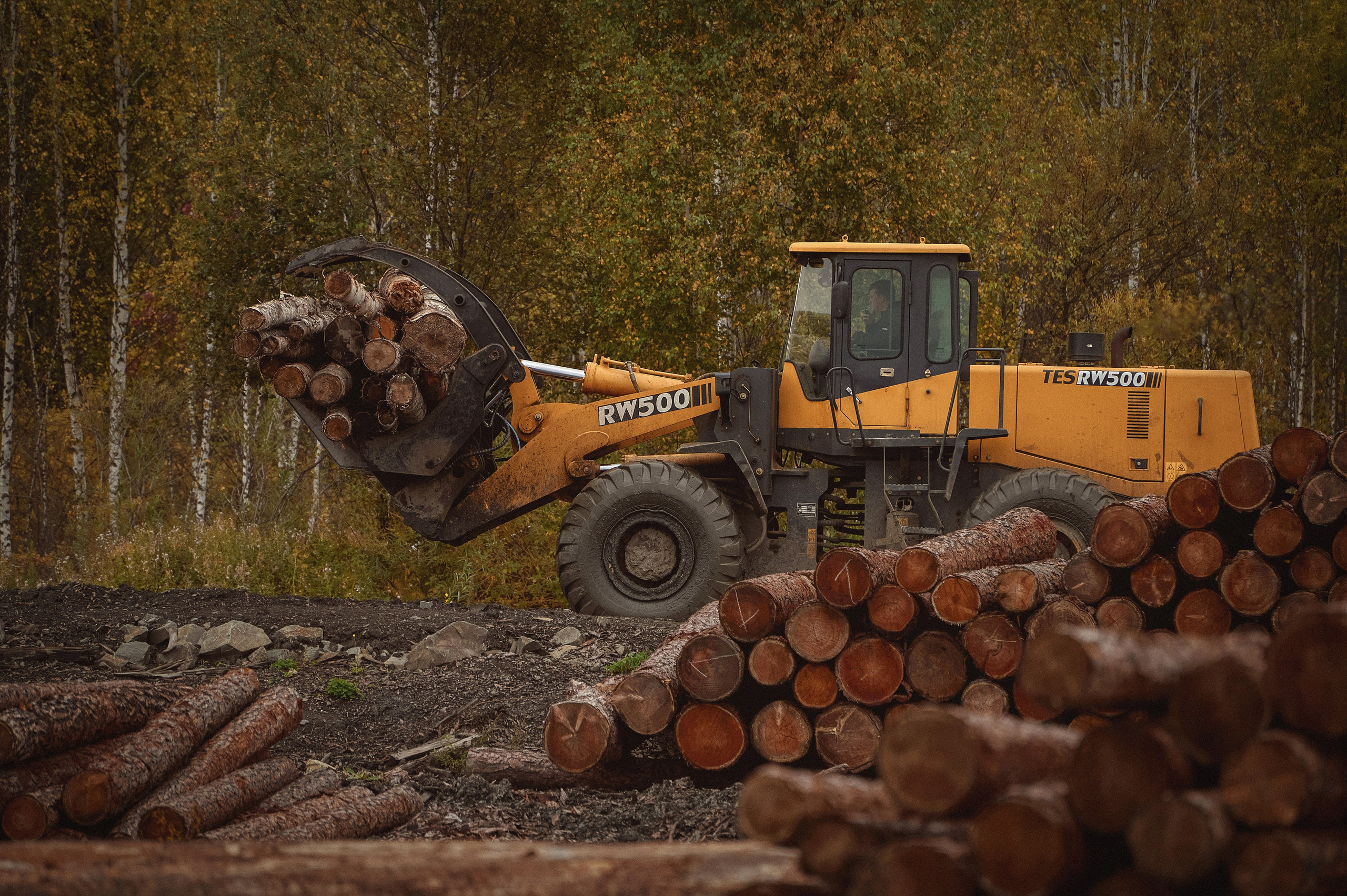 Лесозаготовка г. Мотыгино. Фотограф Яковлев Роман — Красноярск