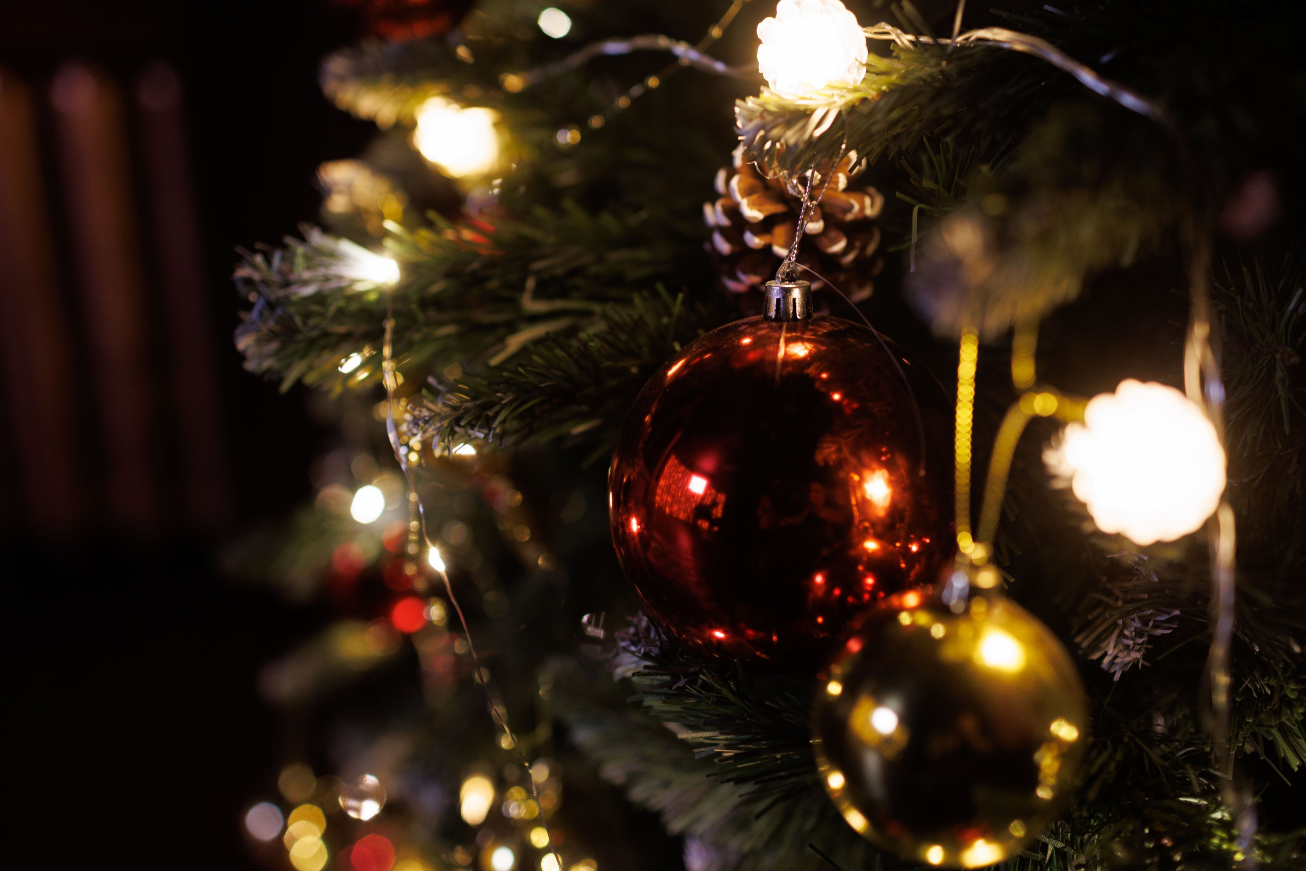 Фотостудия в Рыбинске Destination Studio