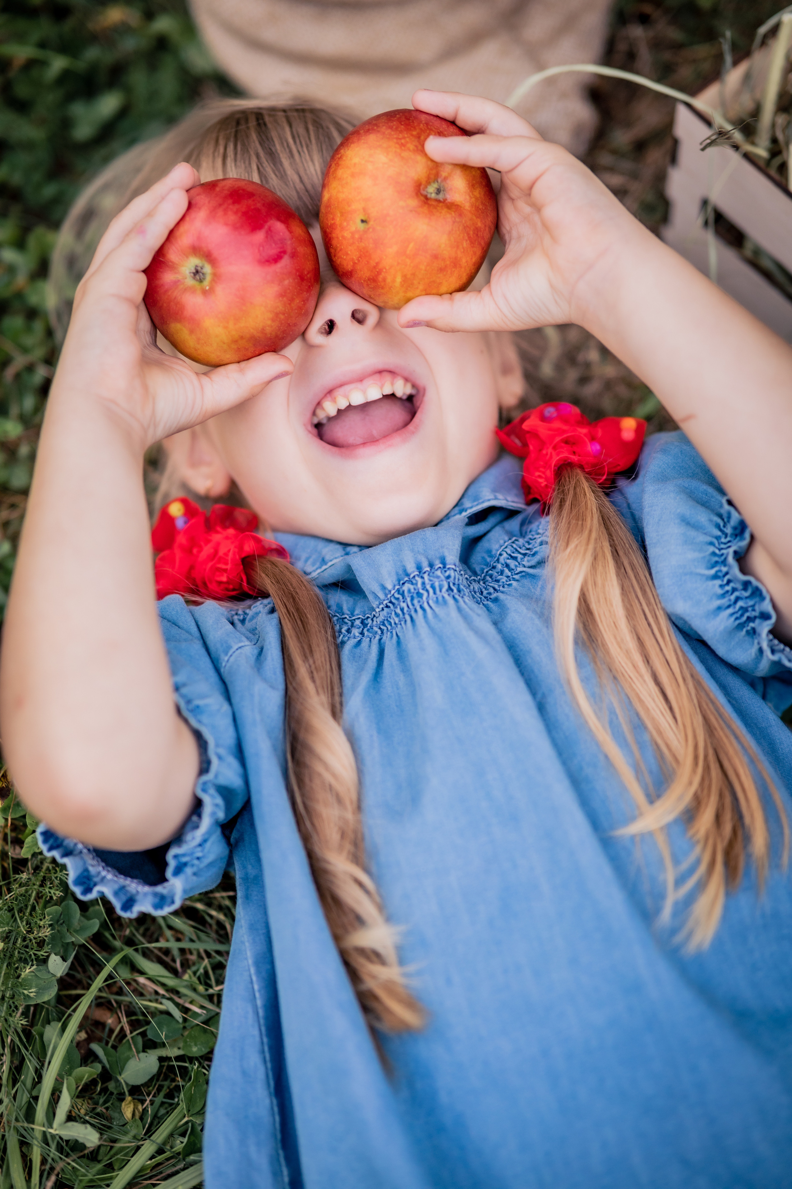 Яблочки. Фотограф в Калуге Светлана Нефедова