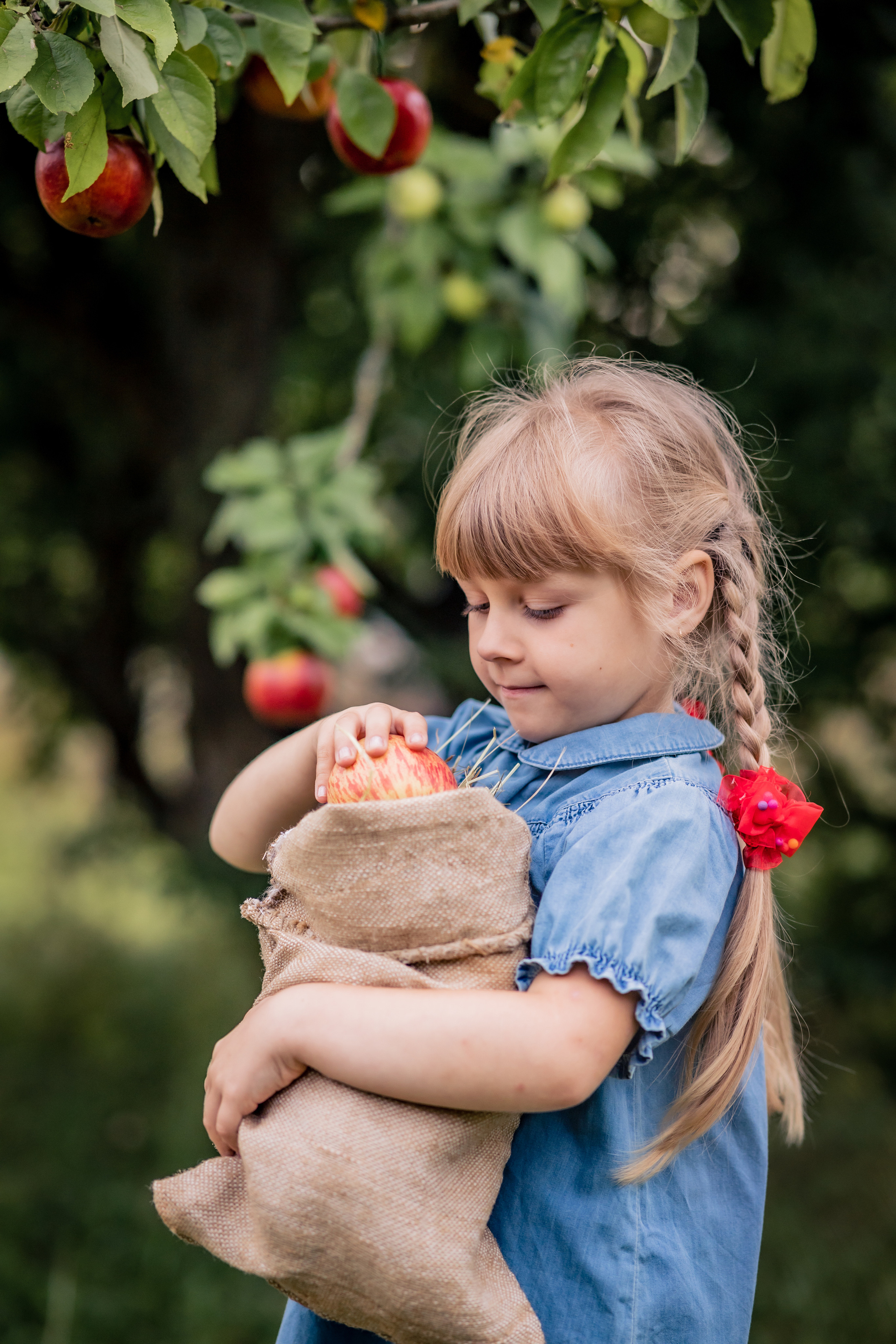 Яблочки. Фотограф в Калуге Светлана Нефедова