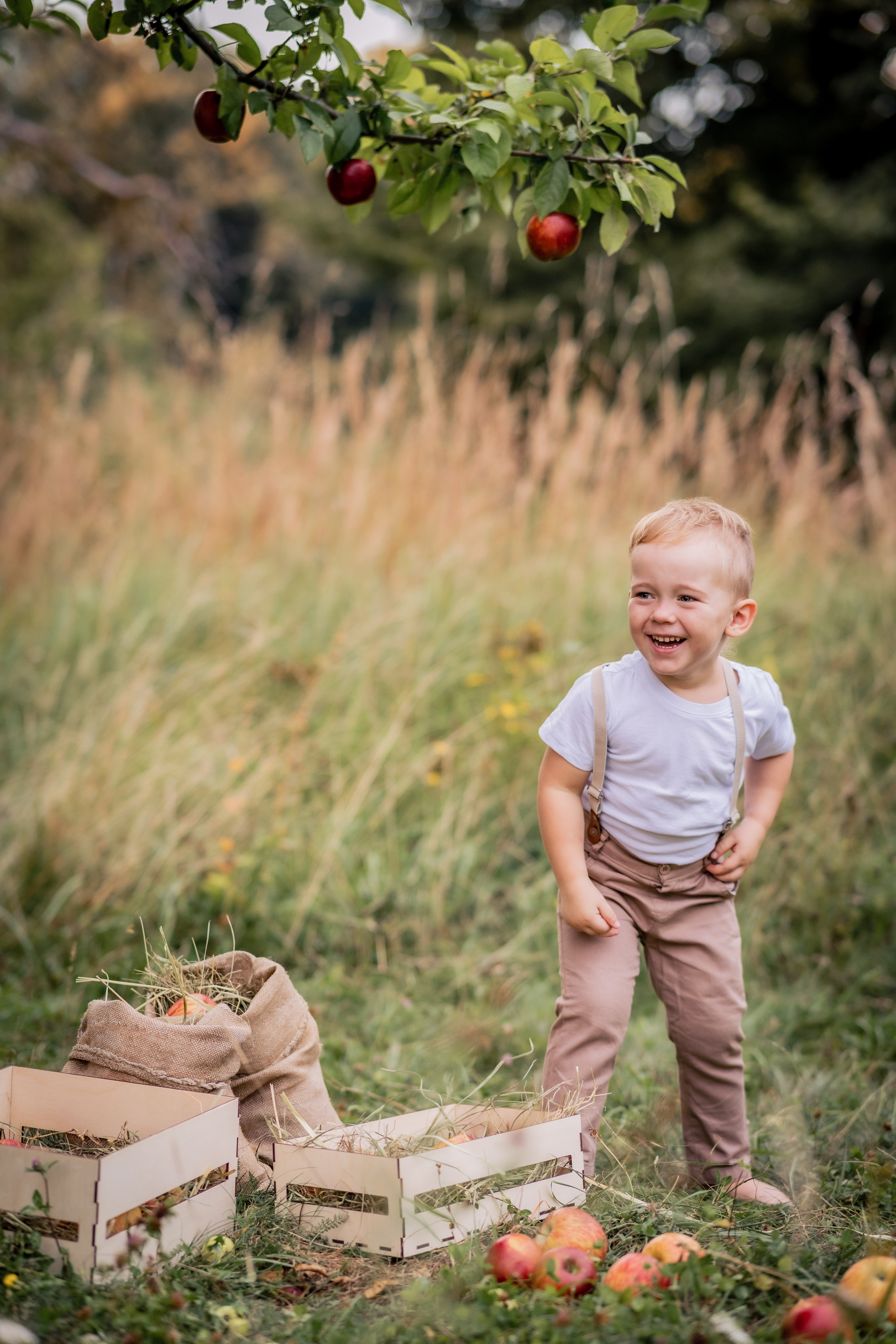 Яблочки. Фотограф в Калуге Светлана Нефедова