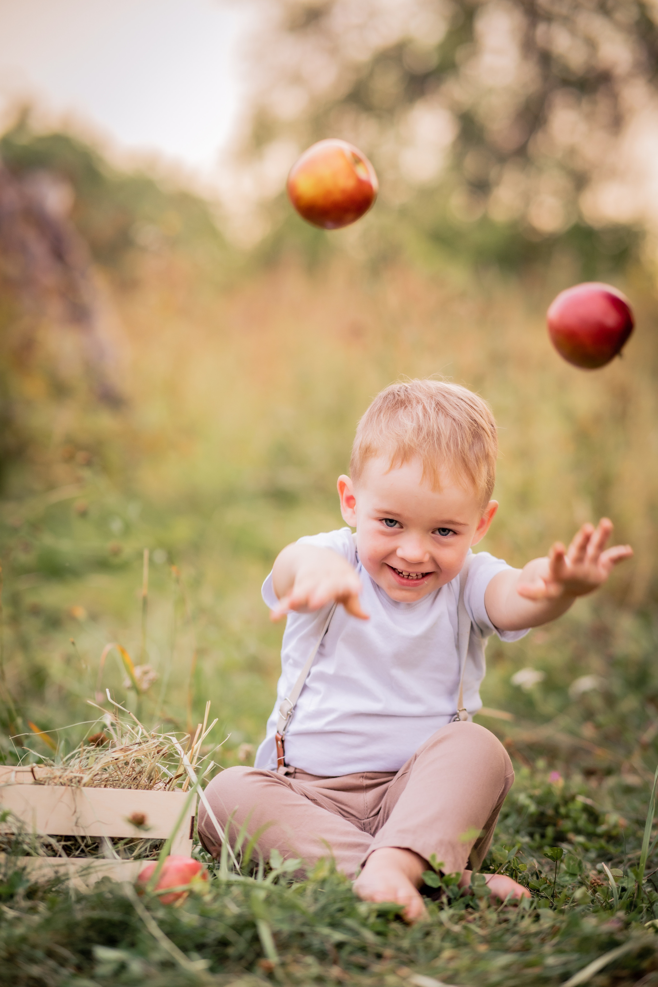 Яблочки. Фотограф в Калуге Светлана Нефедова