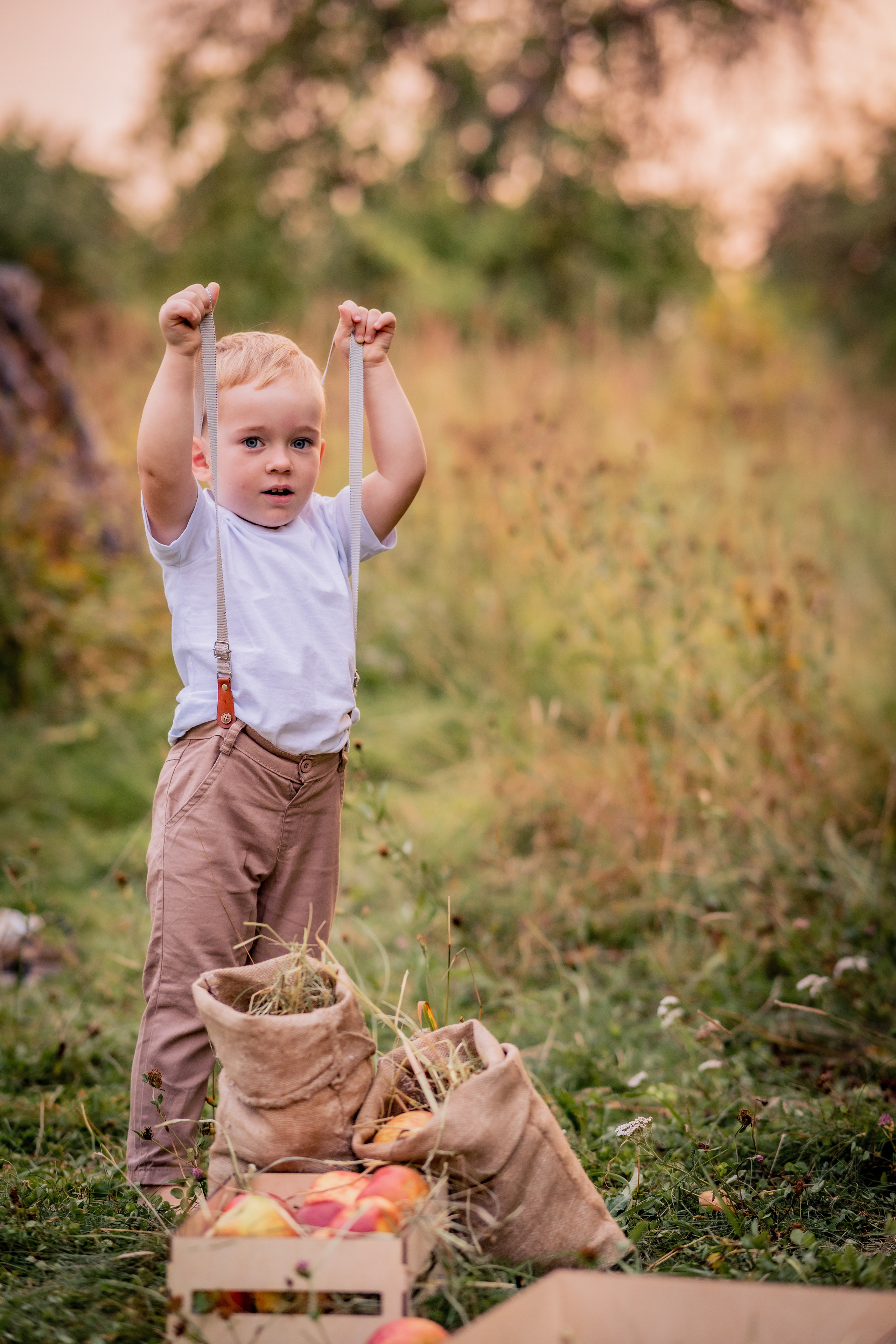 Яблочки. Фотограф в Калуге Светлана Нефедова