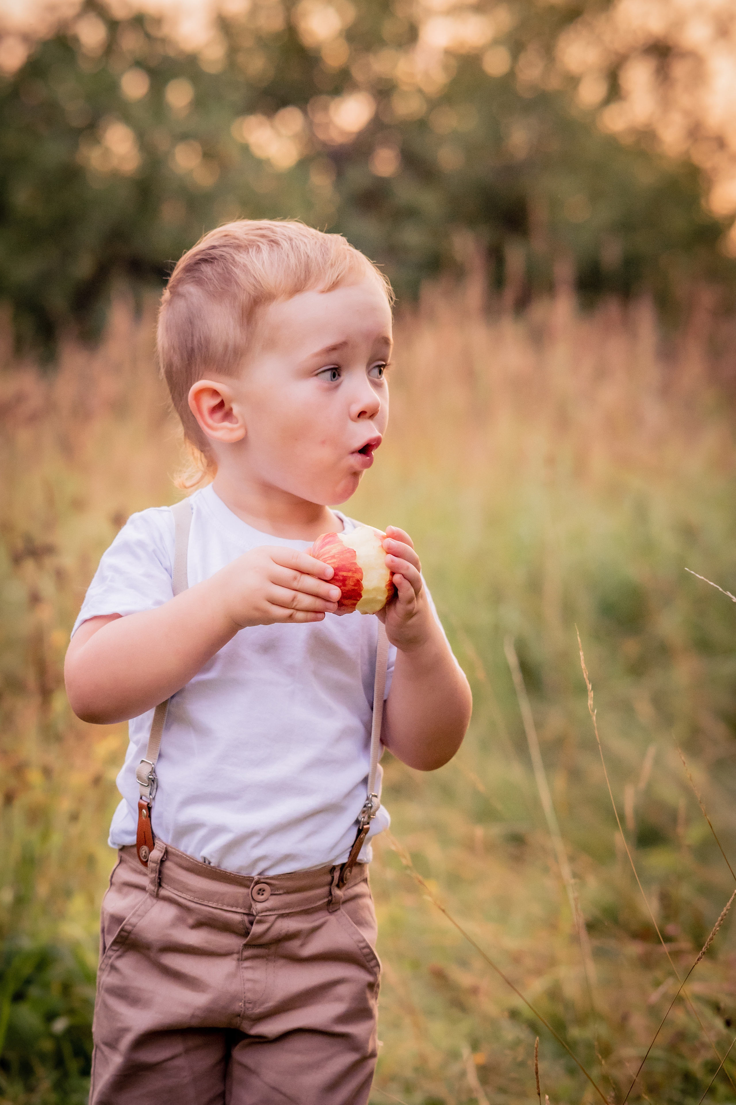 Яблочки. Фотограф в Калуге Светлана Нефедова