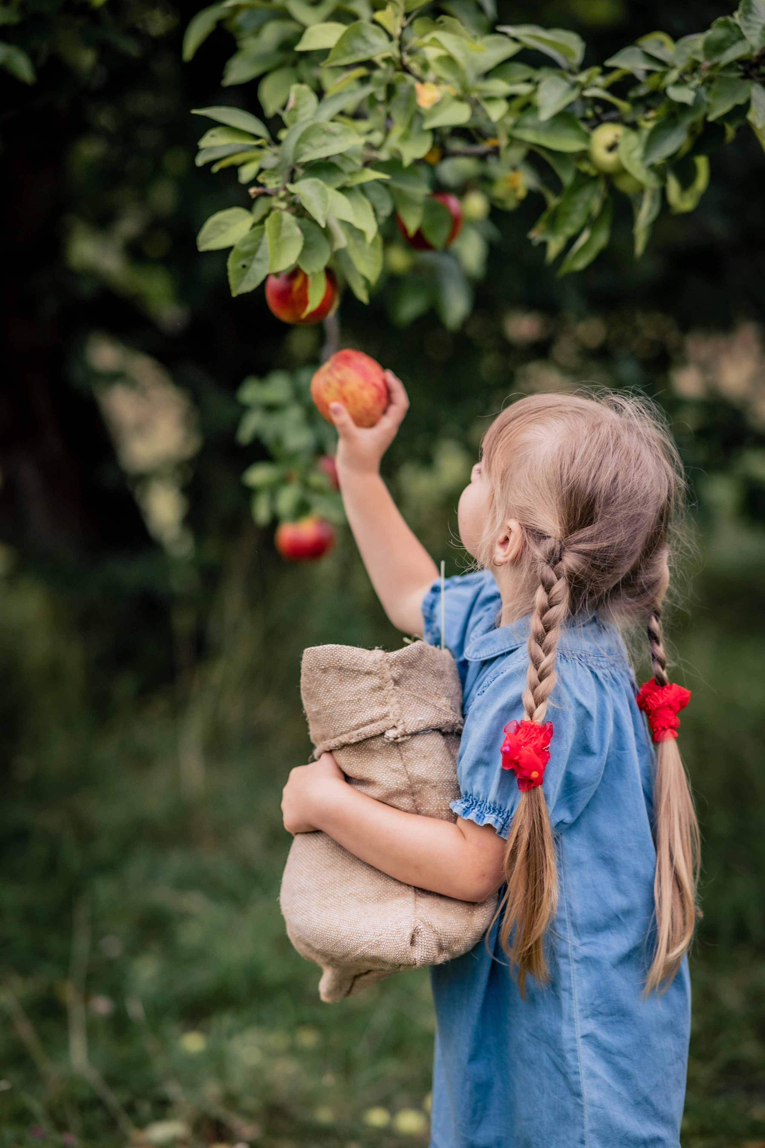 Яблочки. Фотограф в Калуге Светлана Нефедова