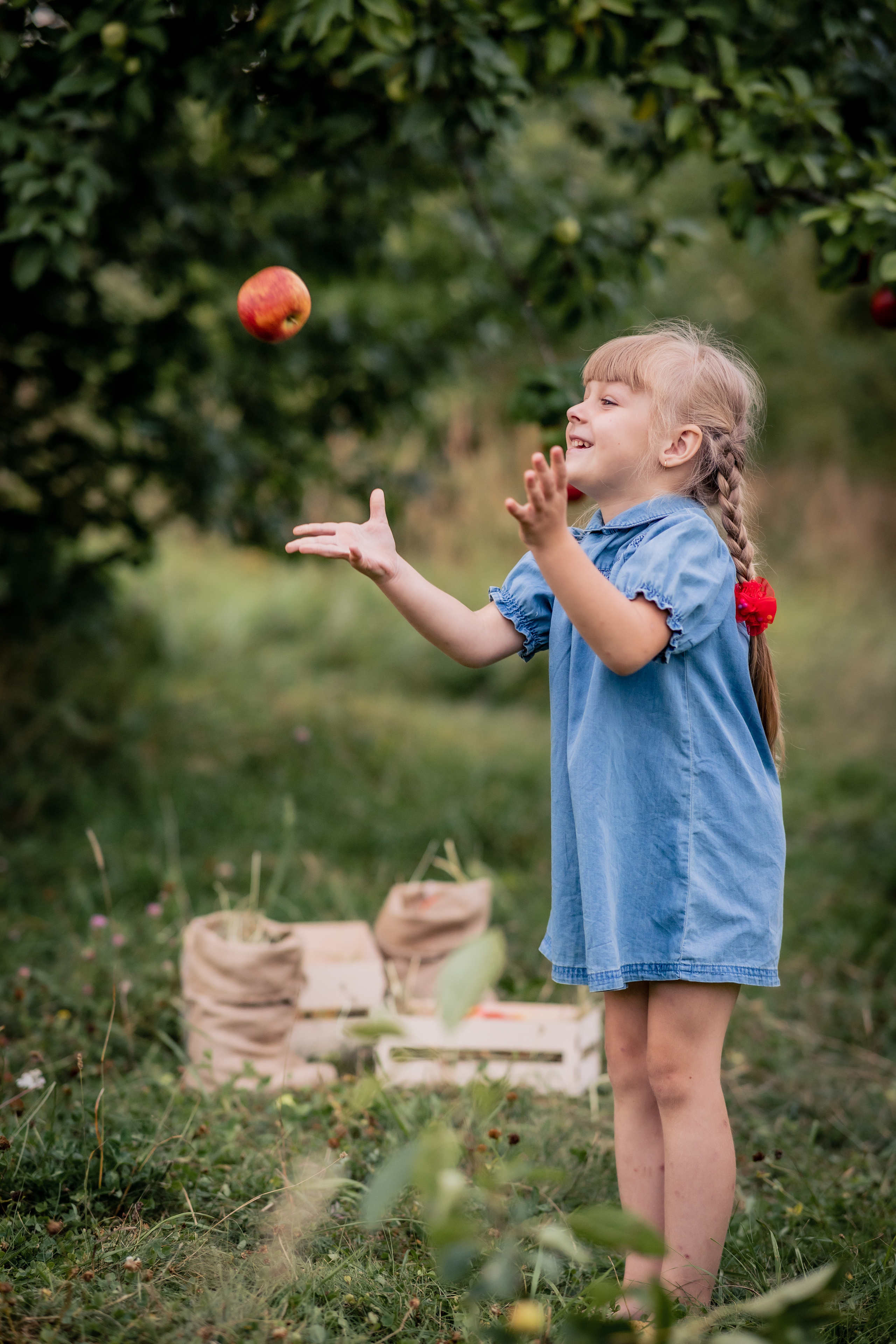Яблочки. Фотограф в Калуге Светлана Нефедова