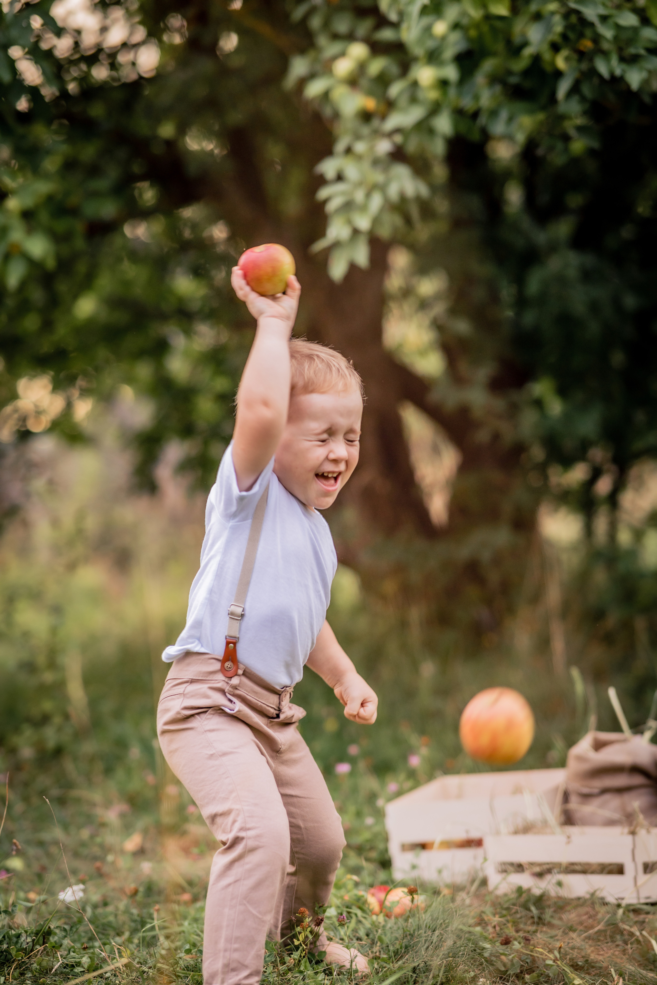 Яблочки. Фотограф в Калуге Светлана Нефедова