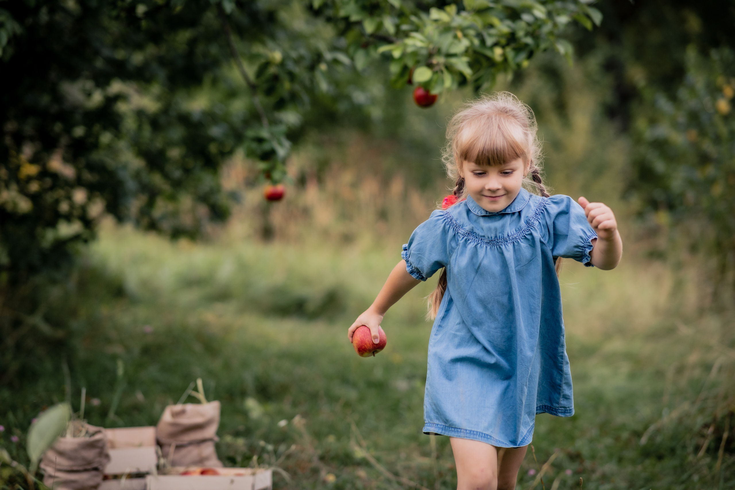 Яблочки. Фотограф в Калуге Светлана Нефедова