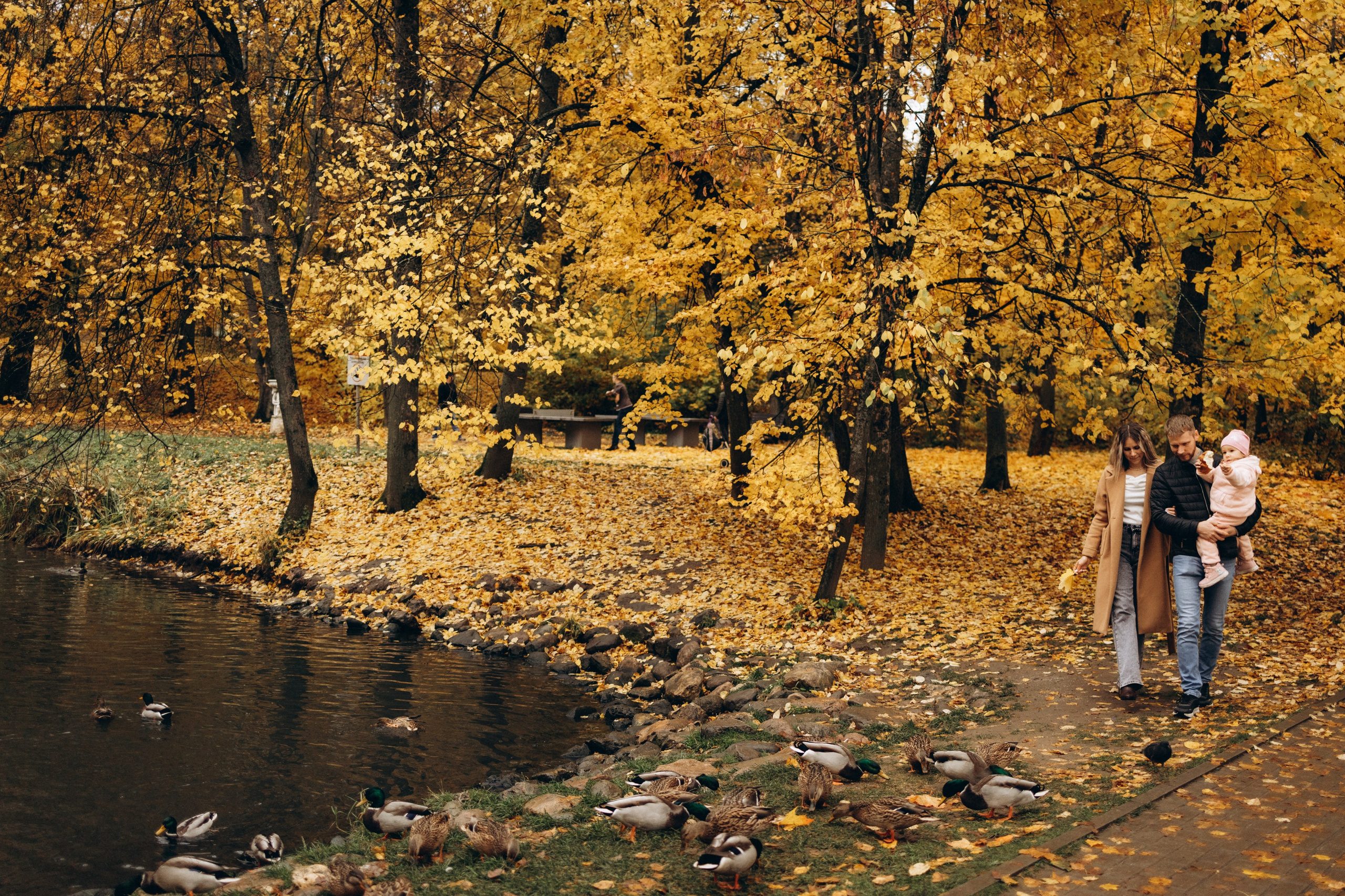 Осенняя семейная фотосъемка (11.10.2025 г.) г. Обнинск (Калужская обл.). Надежда Стар семейный и церковный фотограф в Жукове и Калужской области
