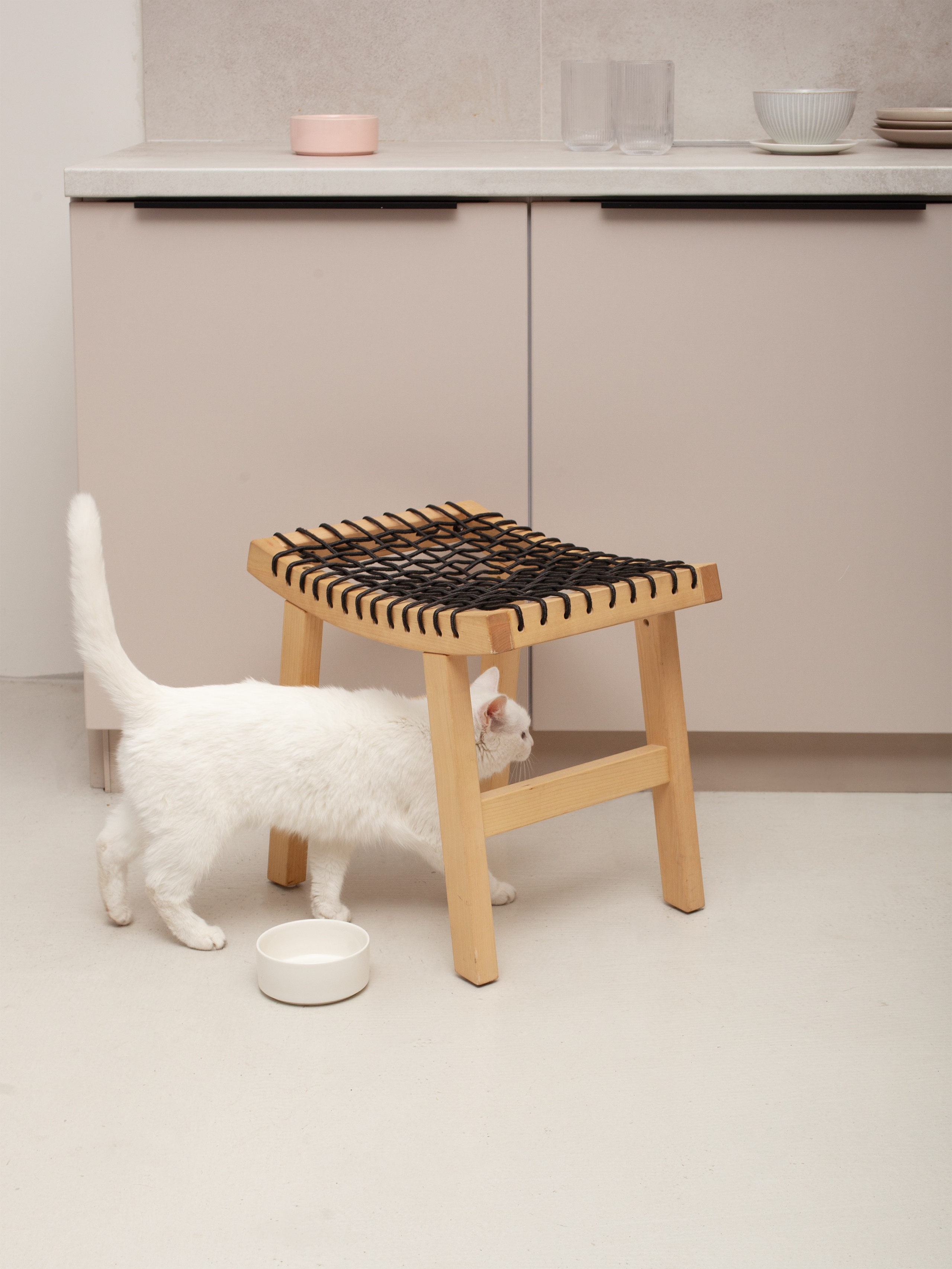 Предметный фотограф Барнаул - Фотосъемка мисок для животных в фотостудии с кошкой,  интерьерная съемка