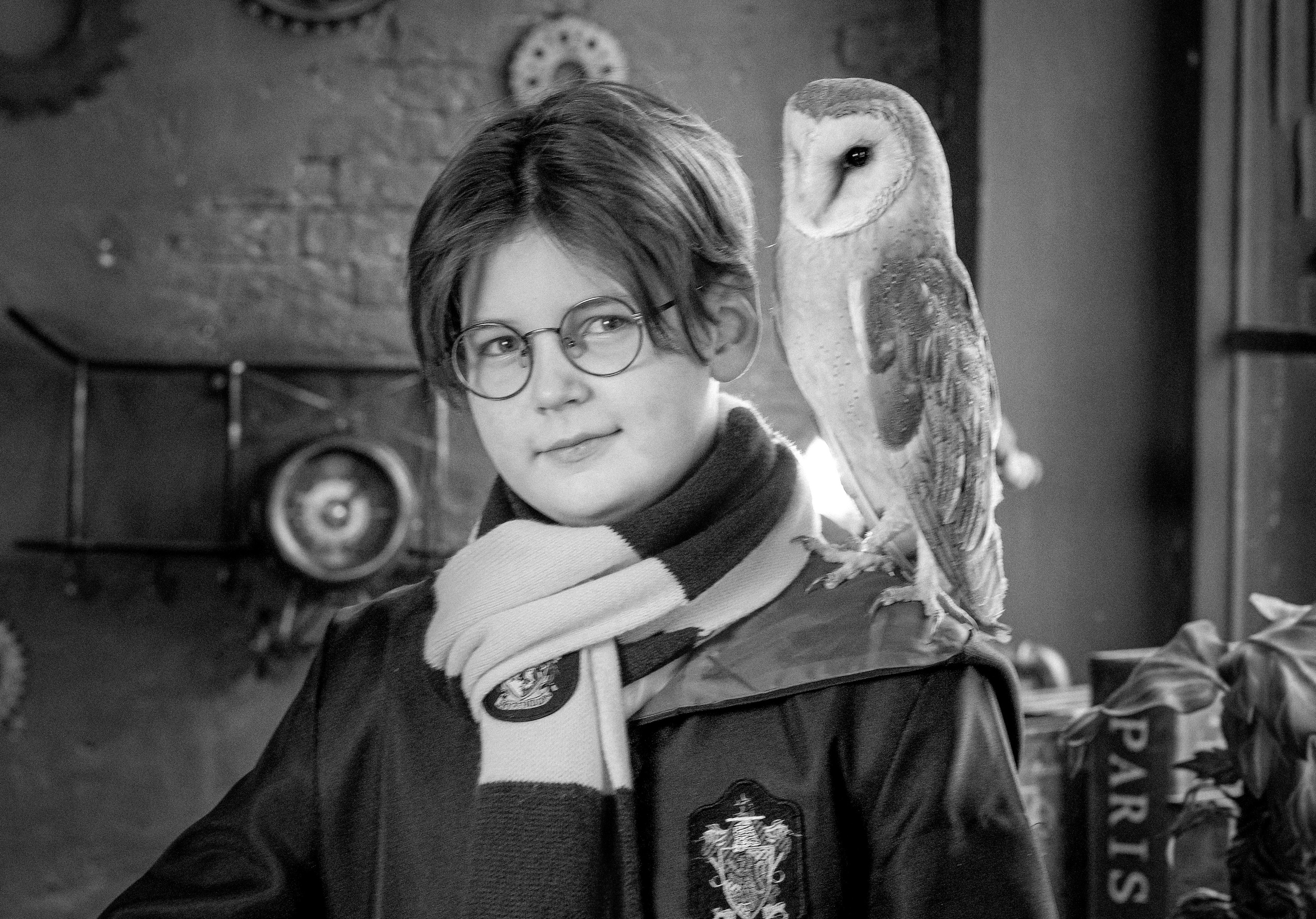 Фотопроект -Гарри Поттер. Марина Суздаль семейный и детский фотограф в Москве и Подмосковье