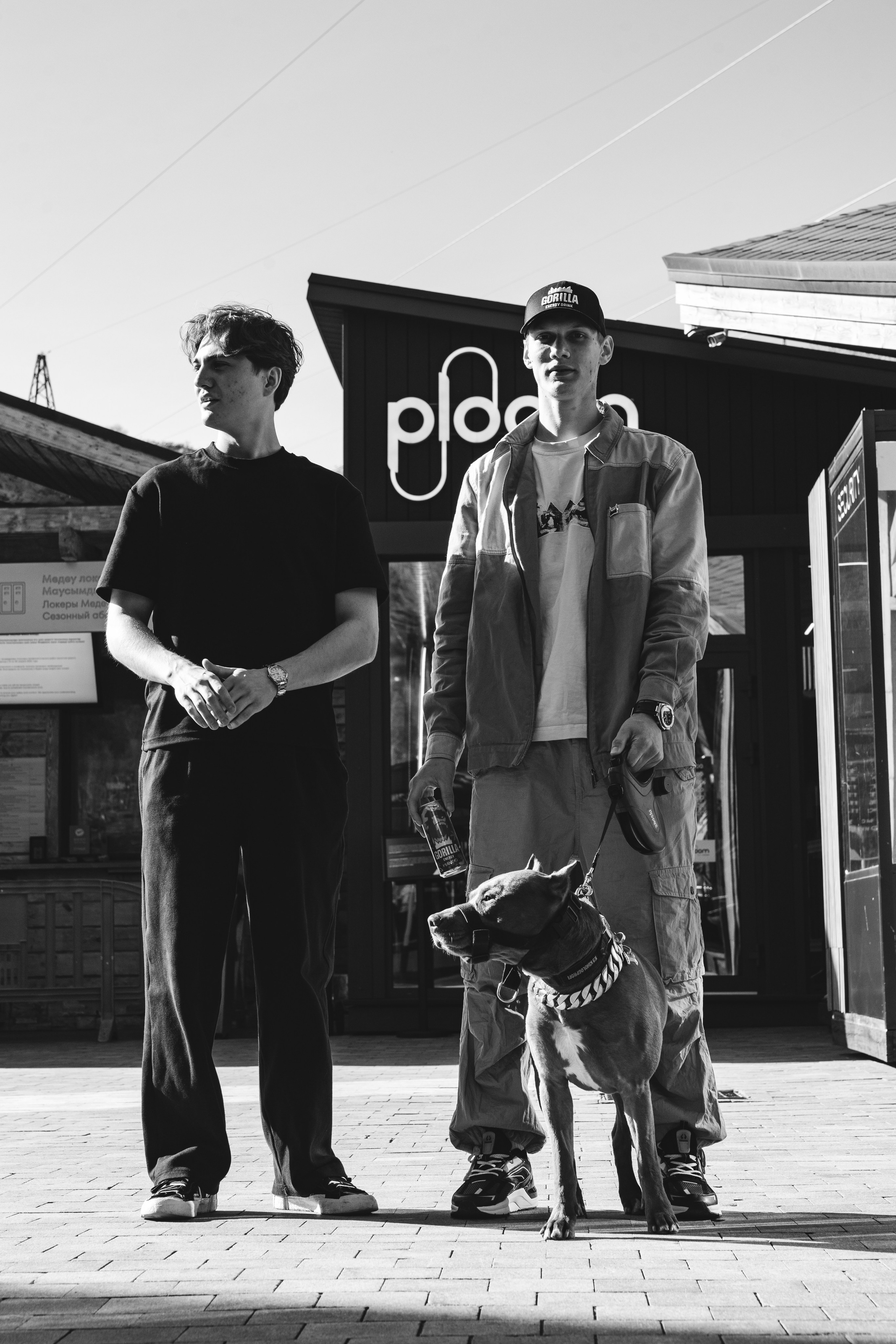 GORILLA GROOVE STAGE IMBA CAMP 5. Gorillaenergymedia