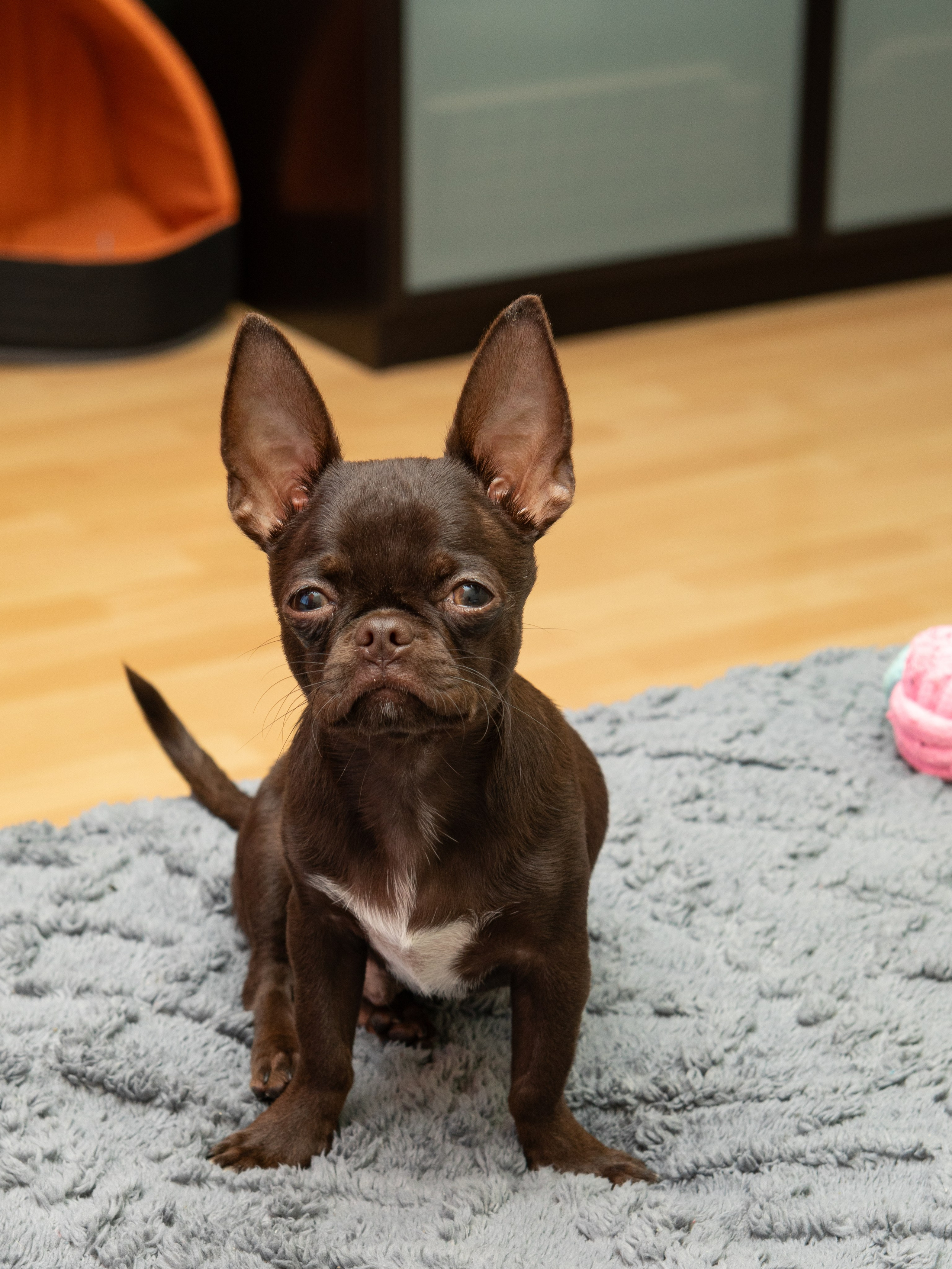 Серии. Предметный и семейный фотограф в Санкт-Петербурге Катерина Стеклова