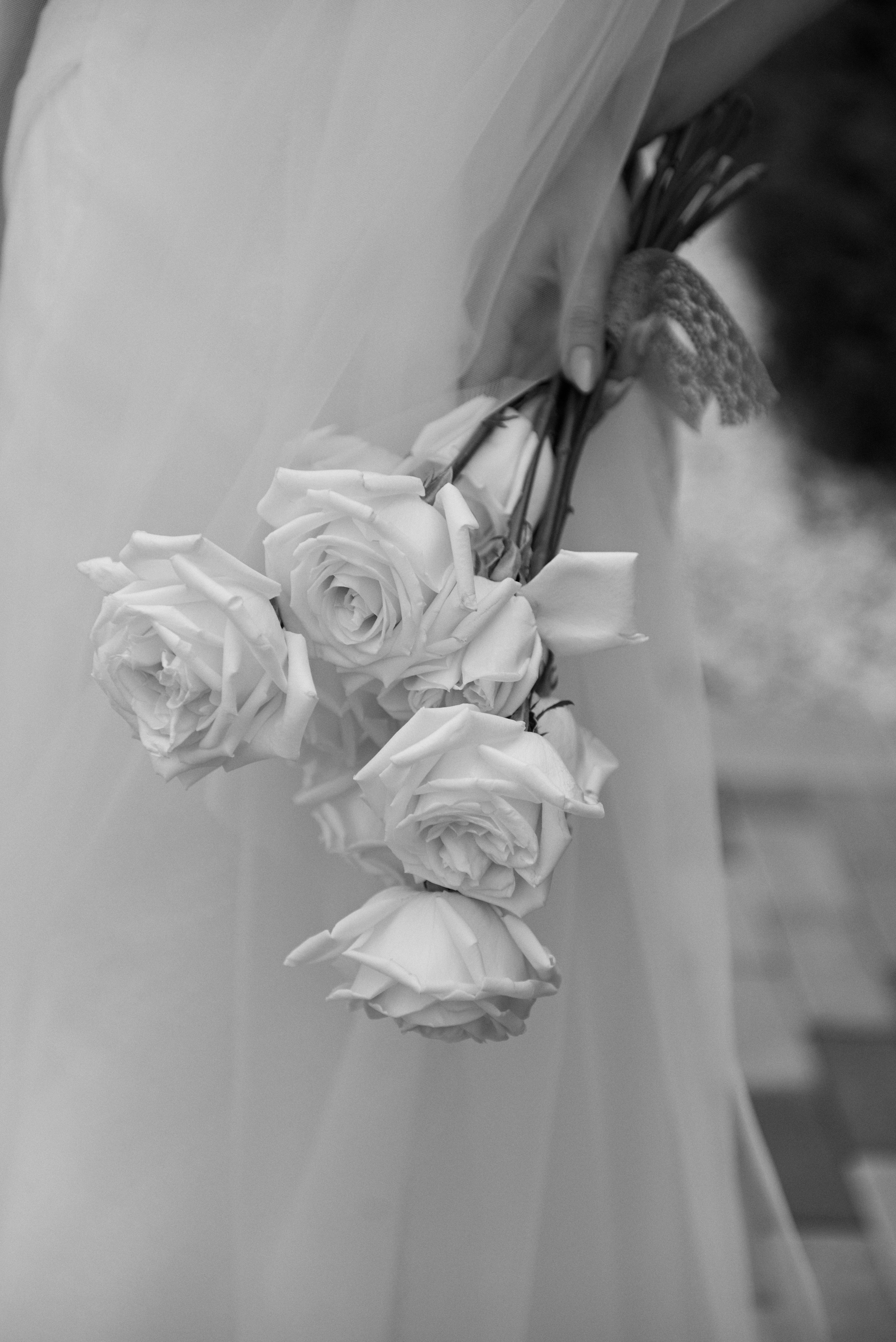 11.08.24 Костя и Алена. Свадебный фотограф Юлия Гусева