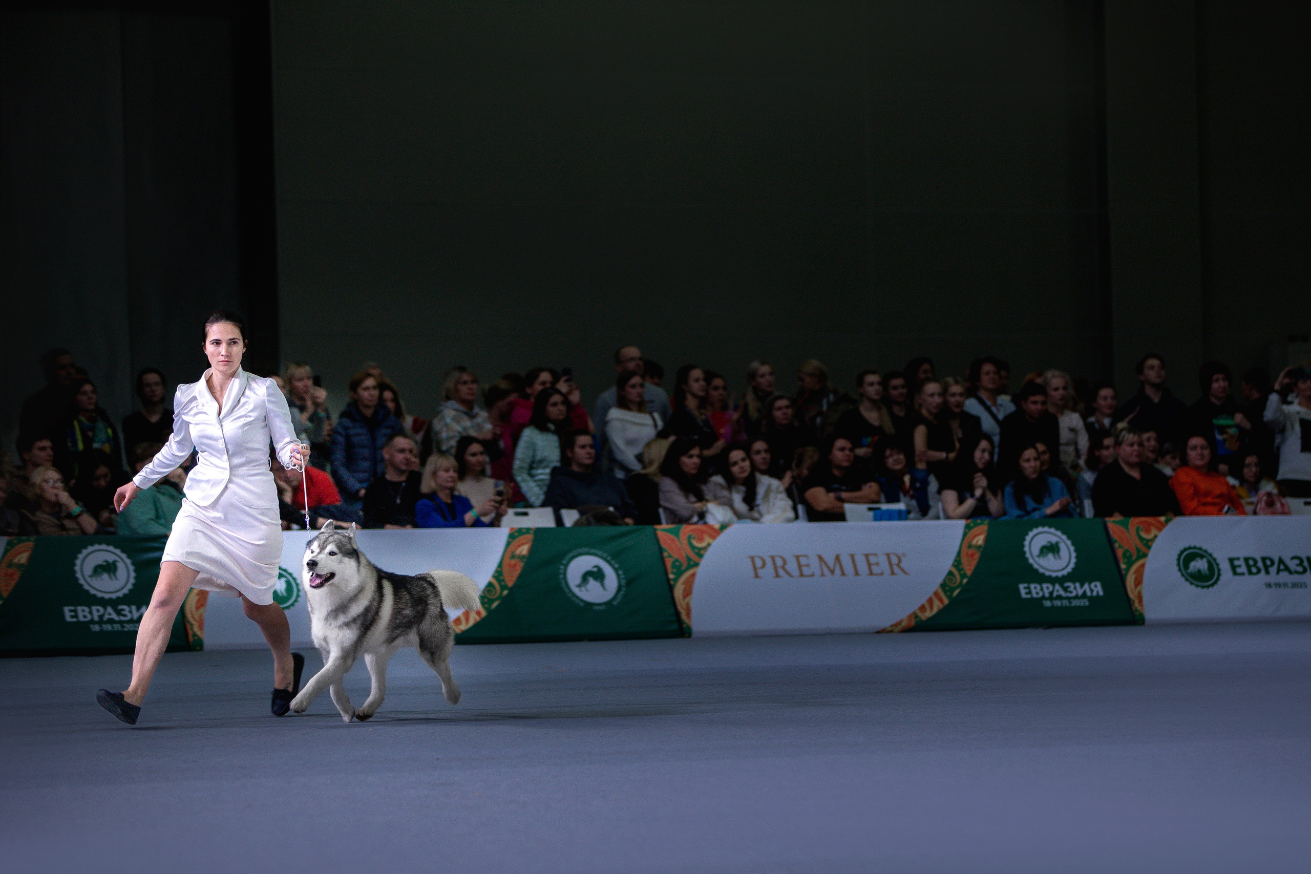 Выставки. Фотограф анималист в Москве Майорова Евгения