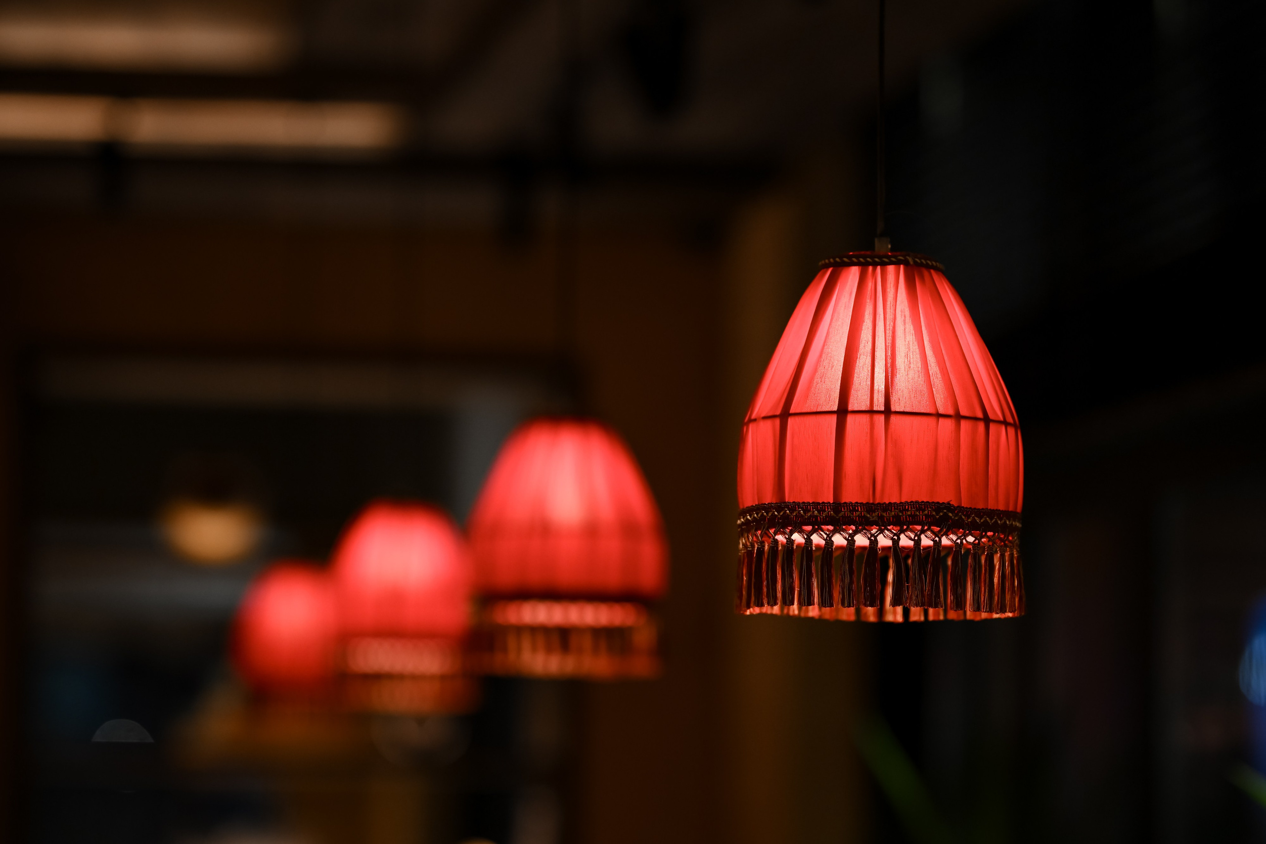 Открытие ресторана. Портфолио