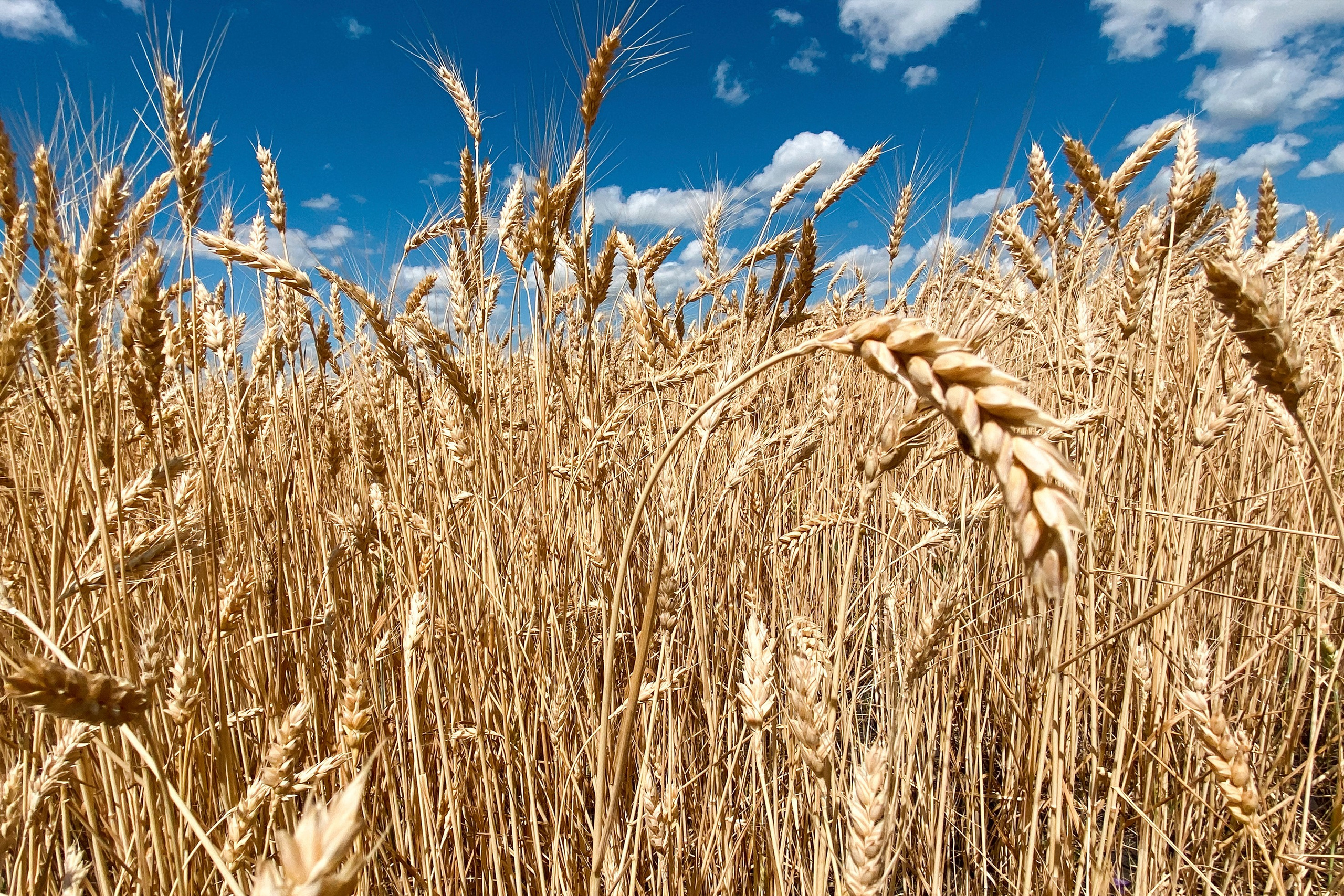 Природа. Команда фотографов Кристины Ивановой