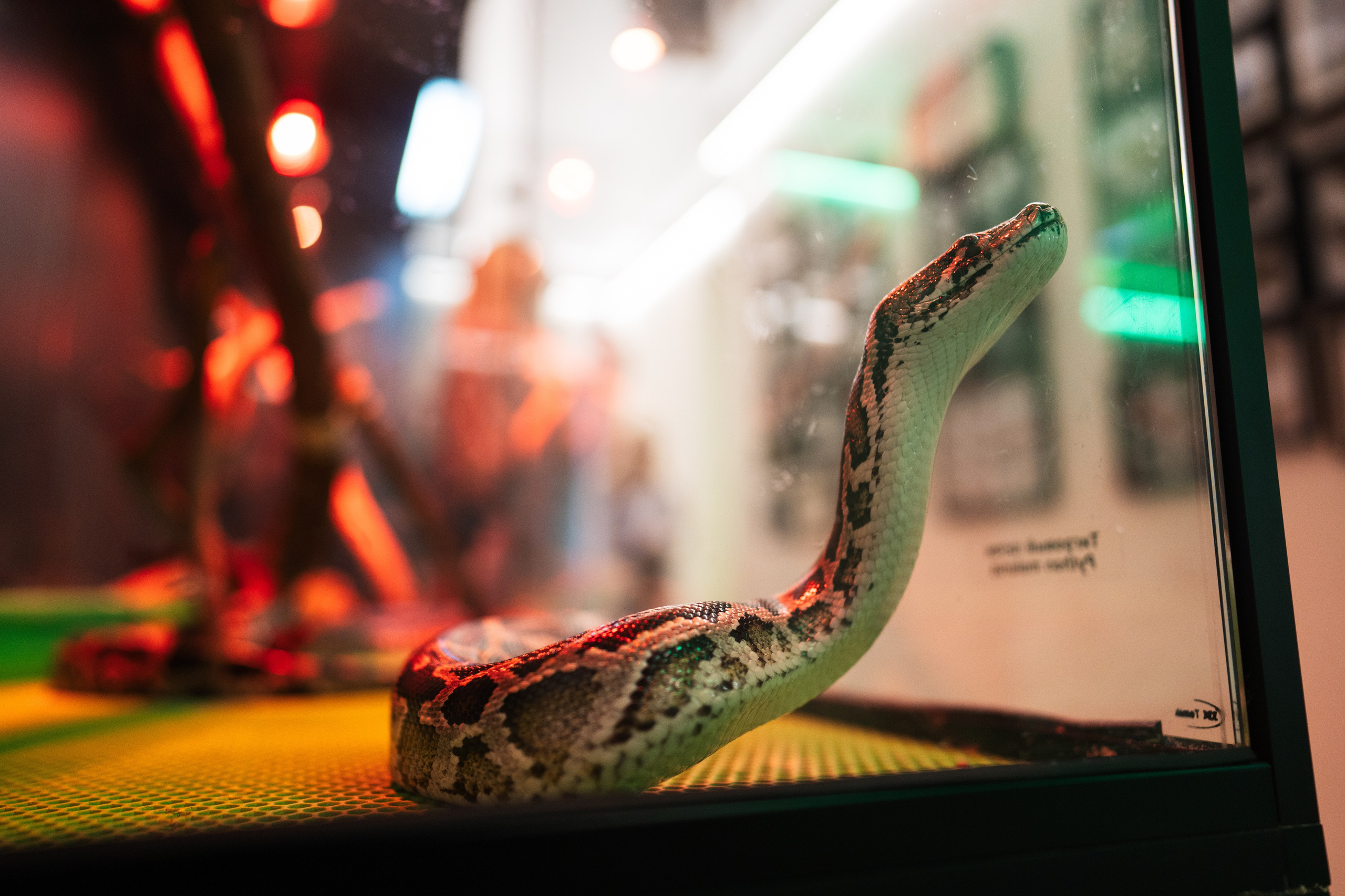 Ночь музеев 2024. Фотограф на любое событие в Кемерово