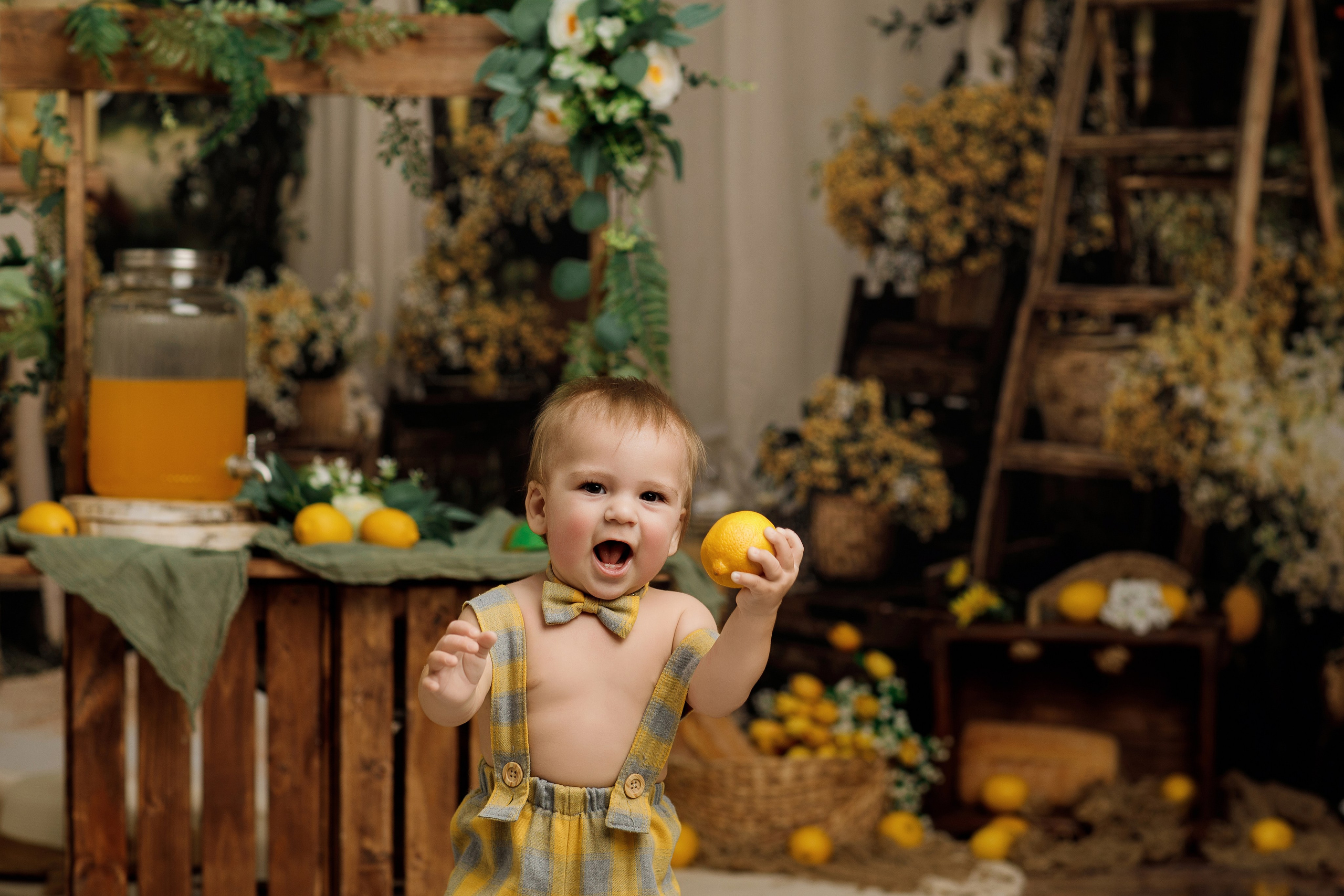 Лимончики. Фотограф новорождённых Псков