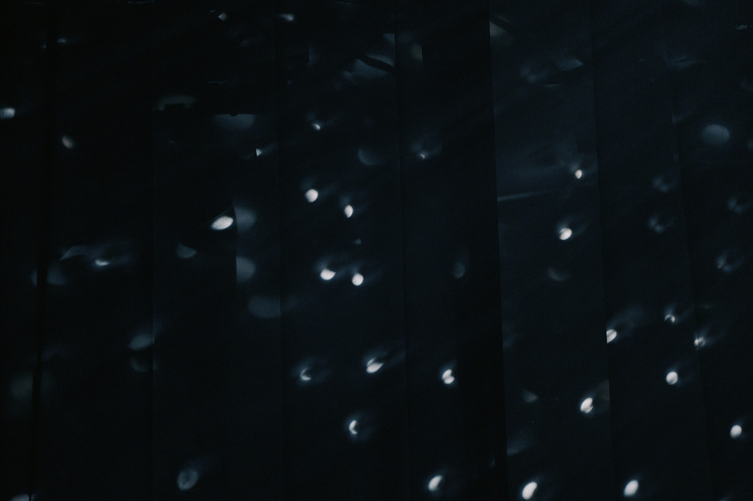 Как с Луны упали. Свадебный фотограф в Ростовe-на-Дону Анастасия Прутова