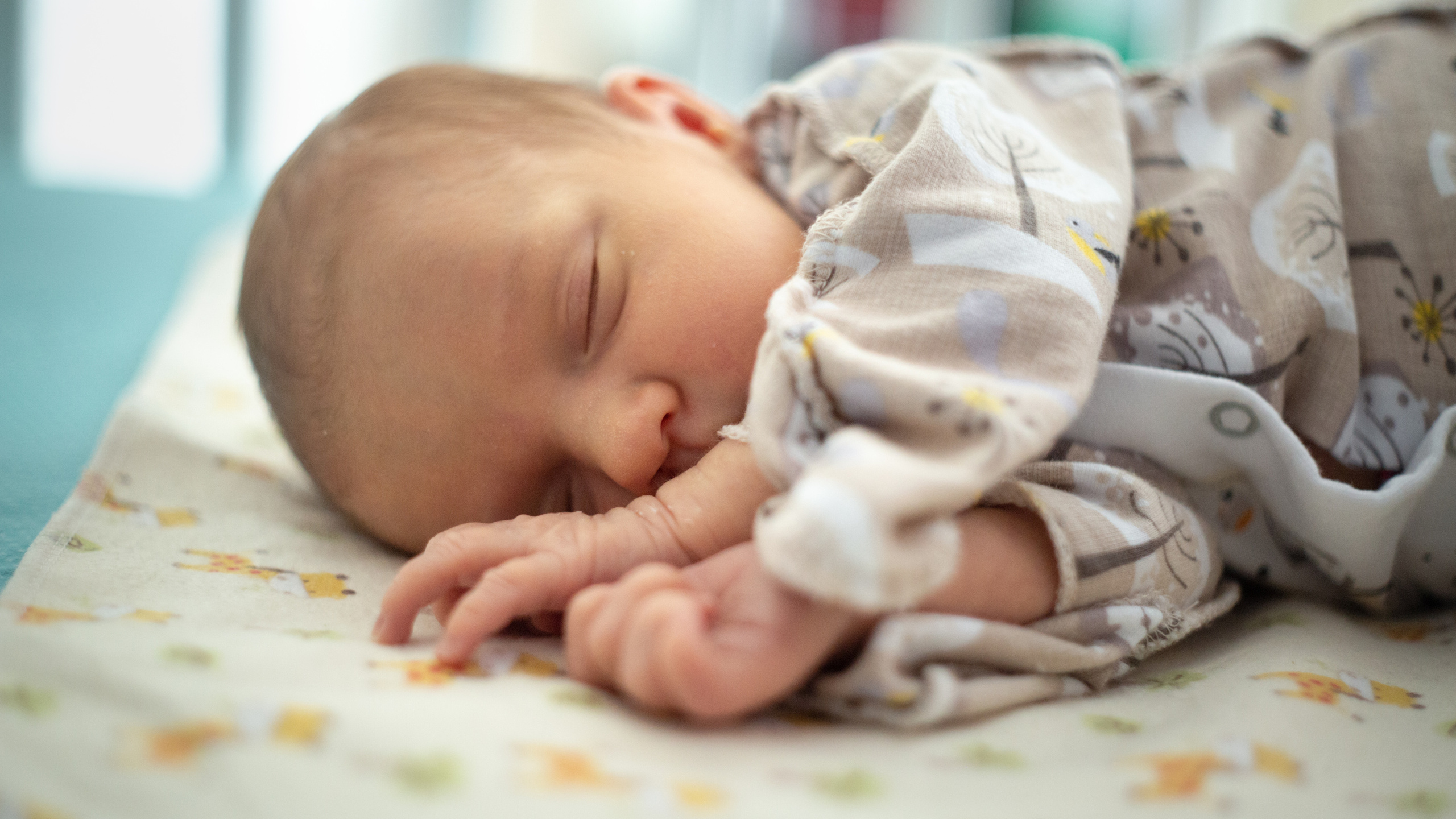 Growing Up: Polina. Elena Yavorskaya Photography