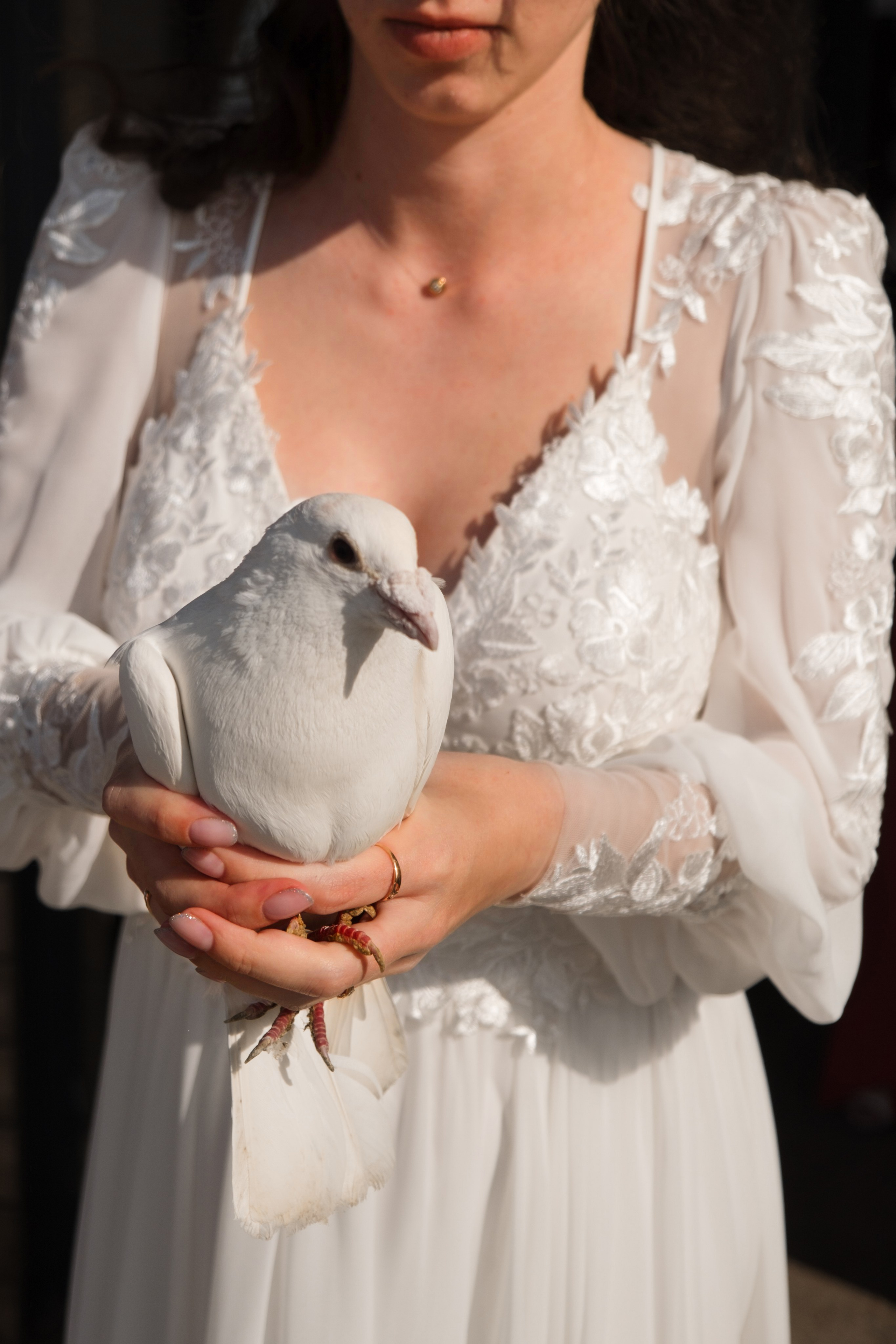 Свадьба в Севастополе │ ЗАГС • Парк Победы • Plita • Илья Желдак. Свадебный фотограф и видеограф в Крыму! Ваш день будет незабываемым!