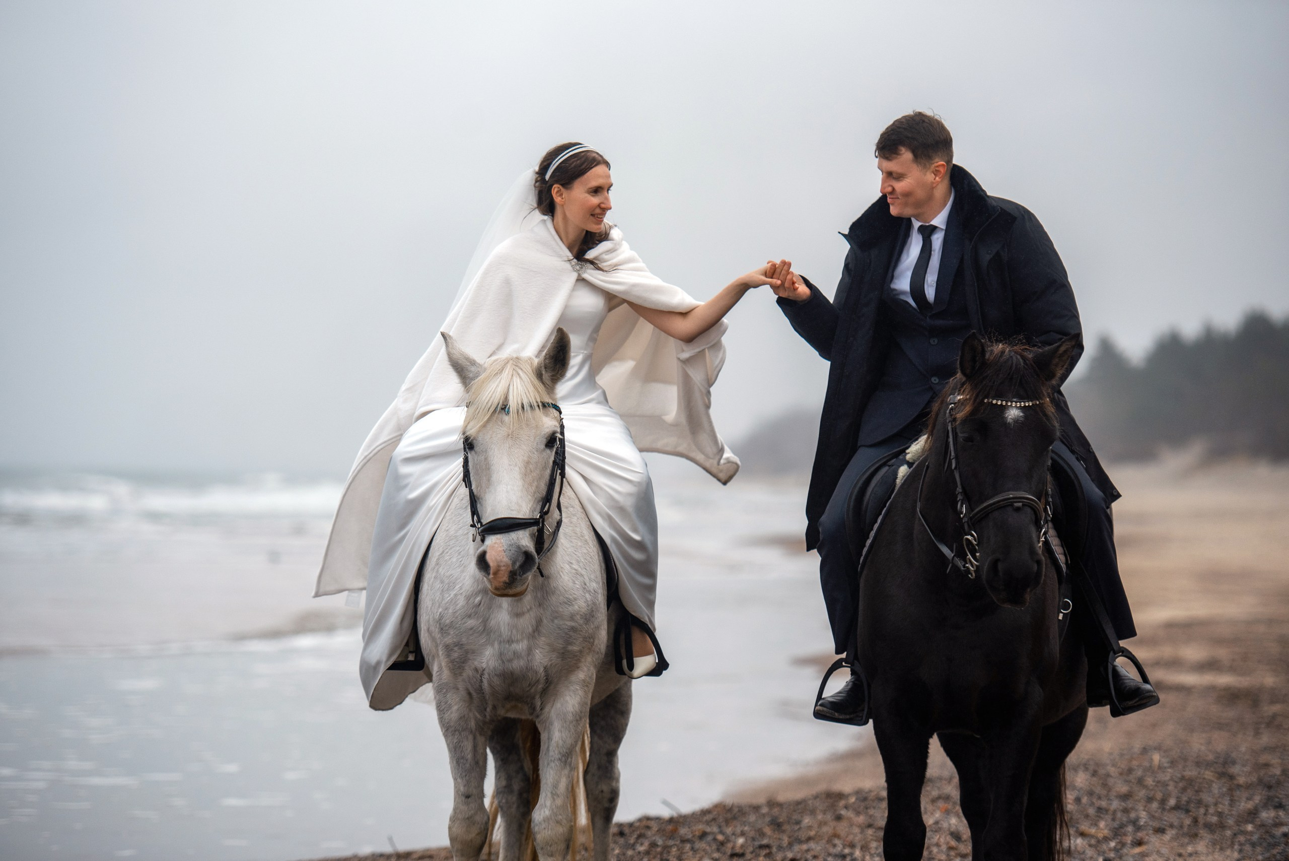 Отзывы. Фотограф с лошадьми в Калининграде Татьяна Ларина