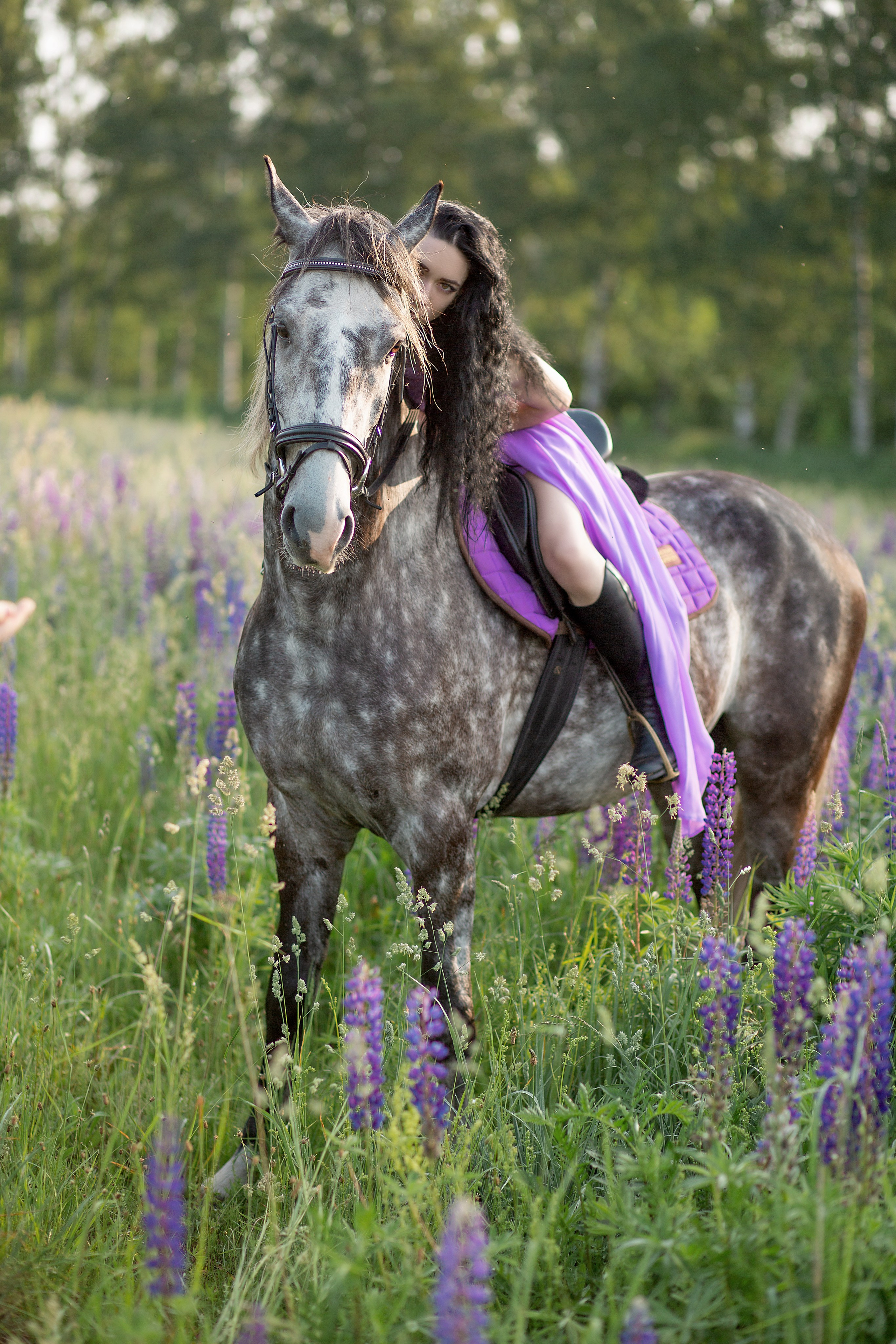 Надежда и Пророк. Фотосессия с лошадьми в Нижнем Новгороде