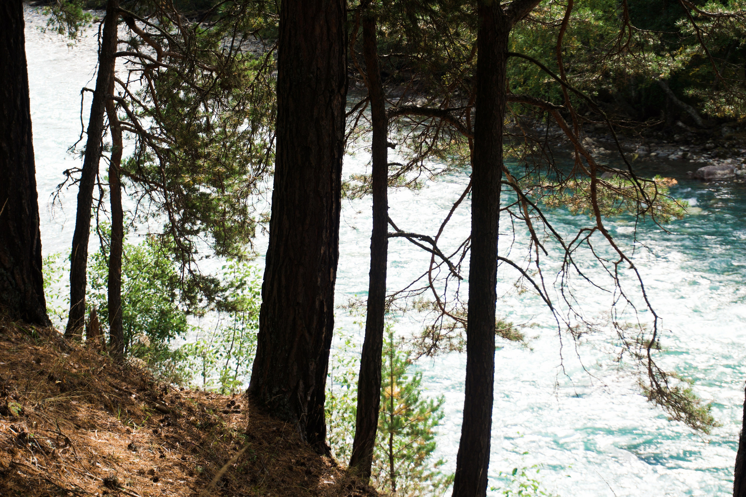 Кавказ. Анна Жукова — Режиссёр кино и цирка, сценарист, фотограф