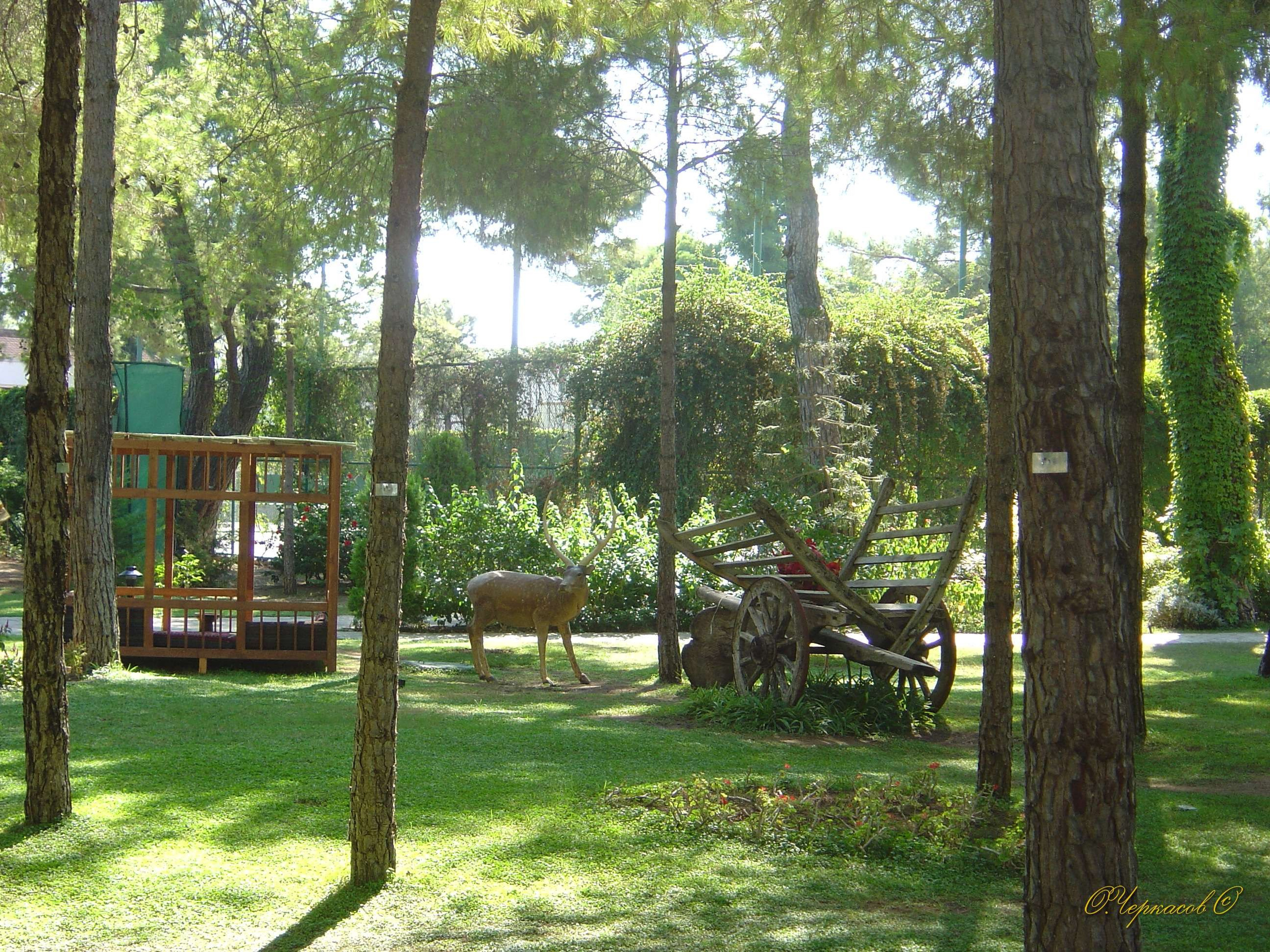 Турция, Зигана, 2005. Улица, люди, жизнь…