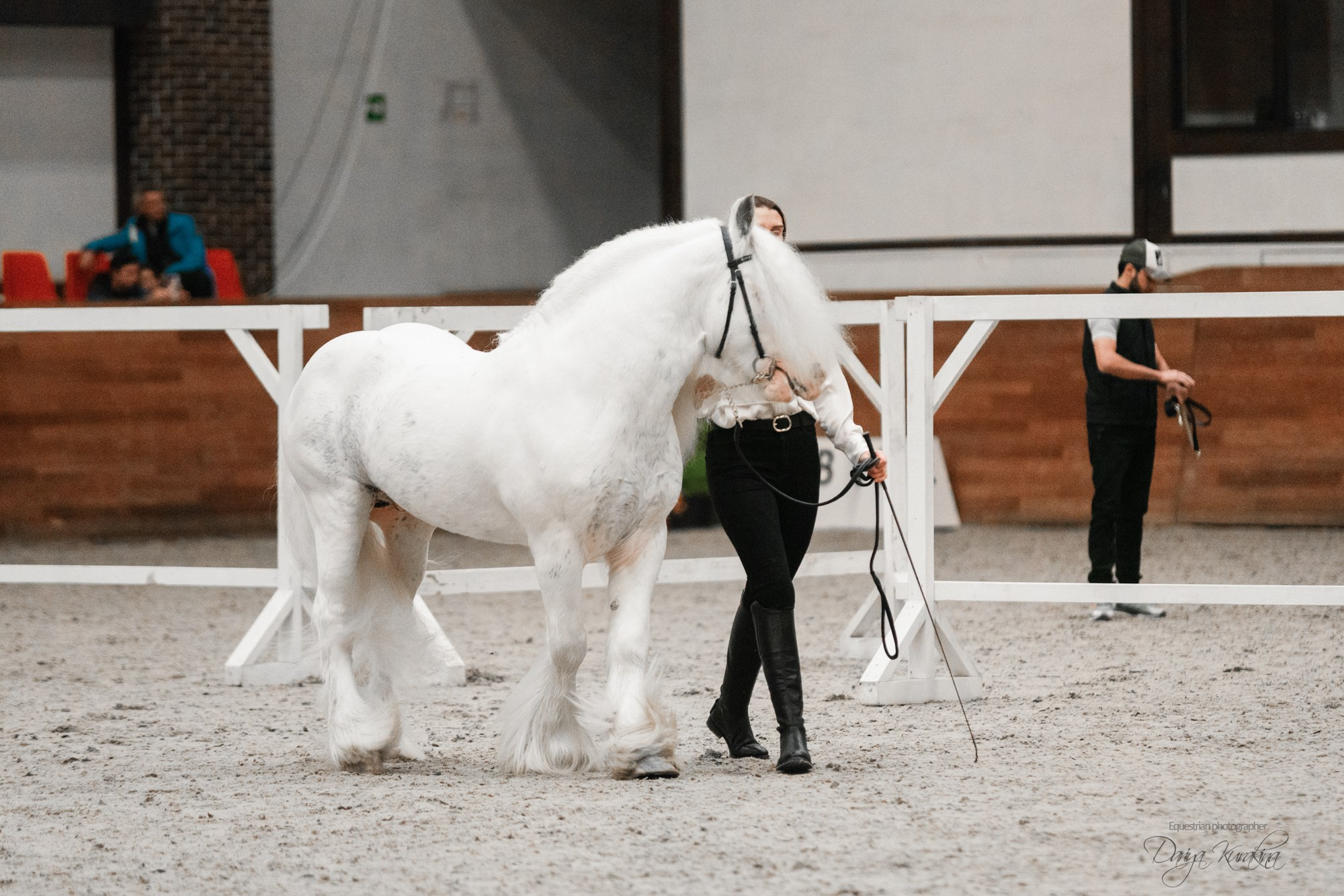 8-я международная выставка Конная Россия. Конный фотограф Куракина Дарья • Фотосессии с лошадьми