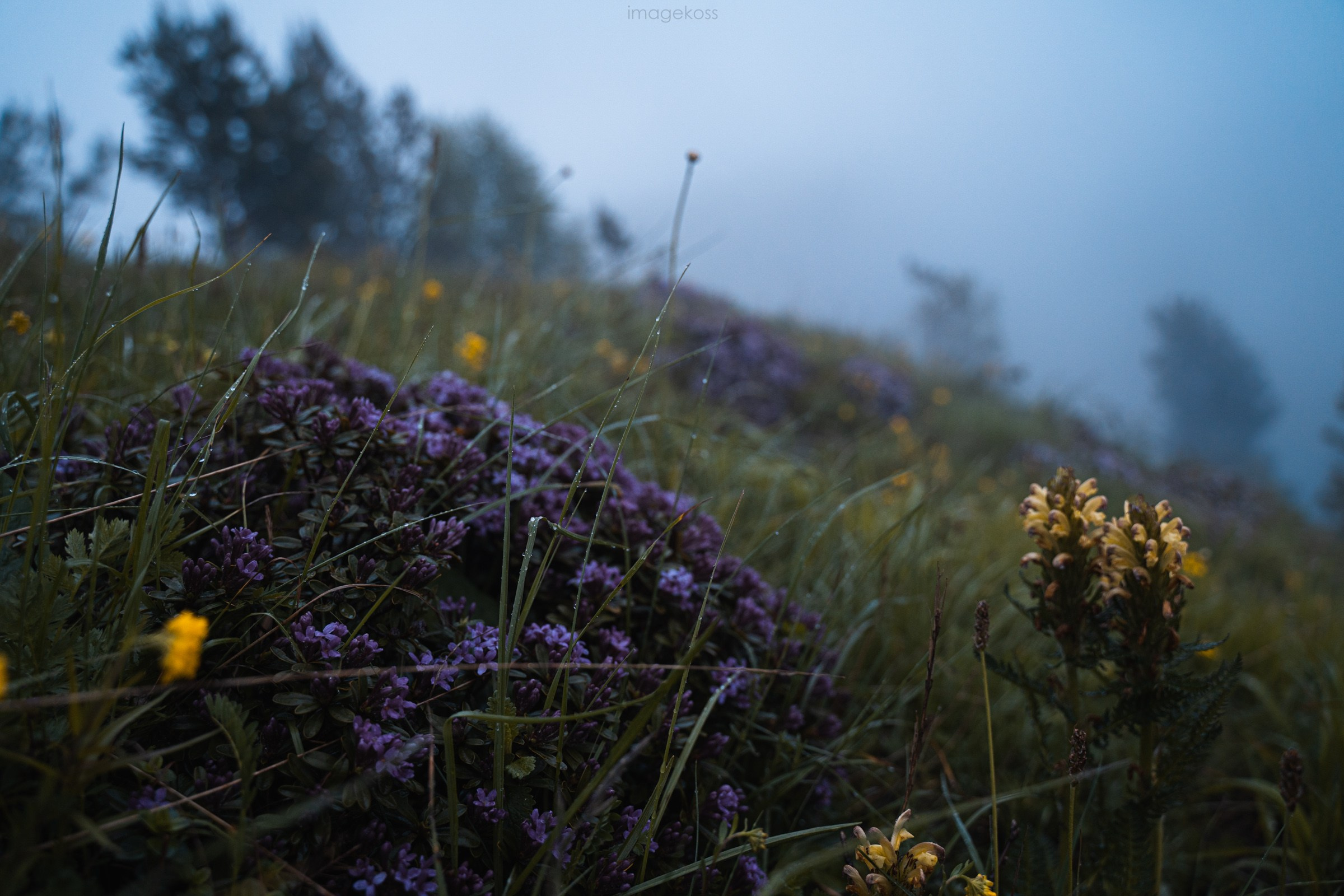 Адыгея. Большой Тхач. Фотограф в поход и восхождение на Эльбрус Игорь Косарев