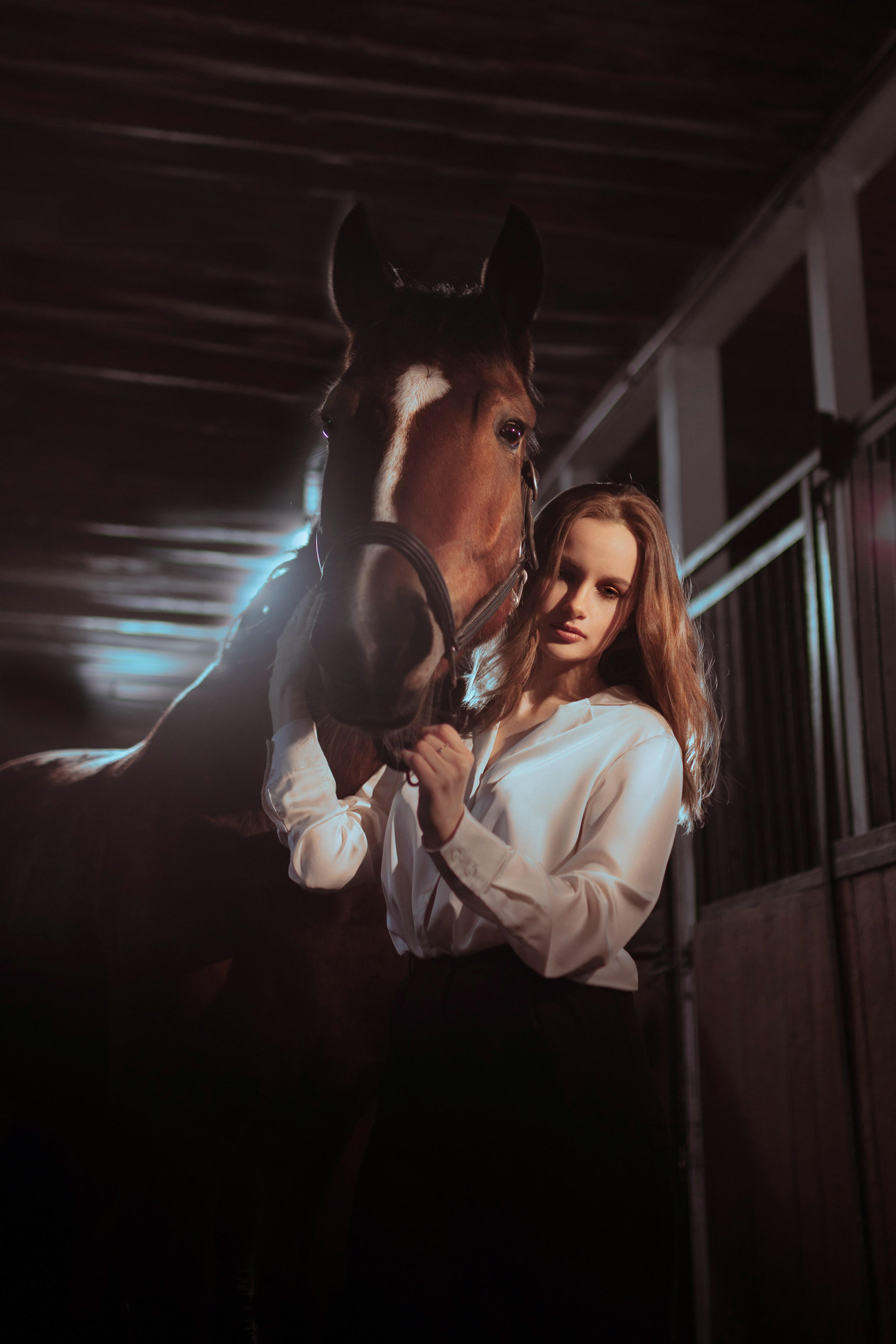 Фотосессии с лошадьми. Главная