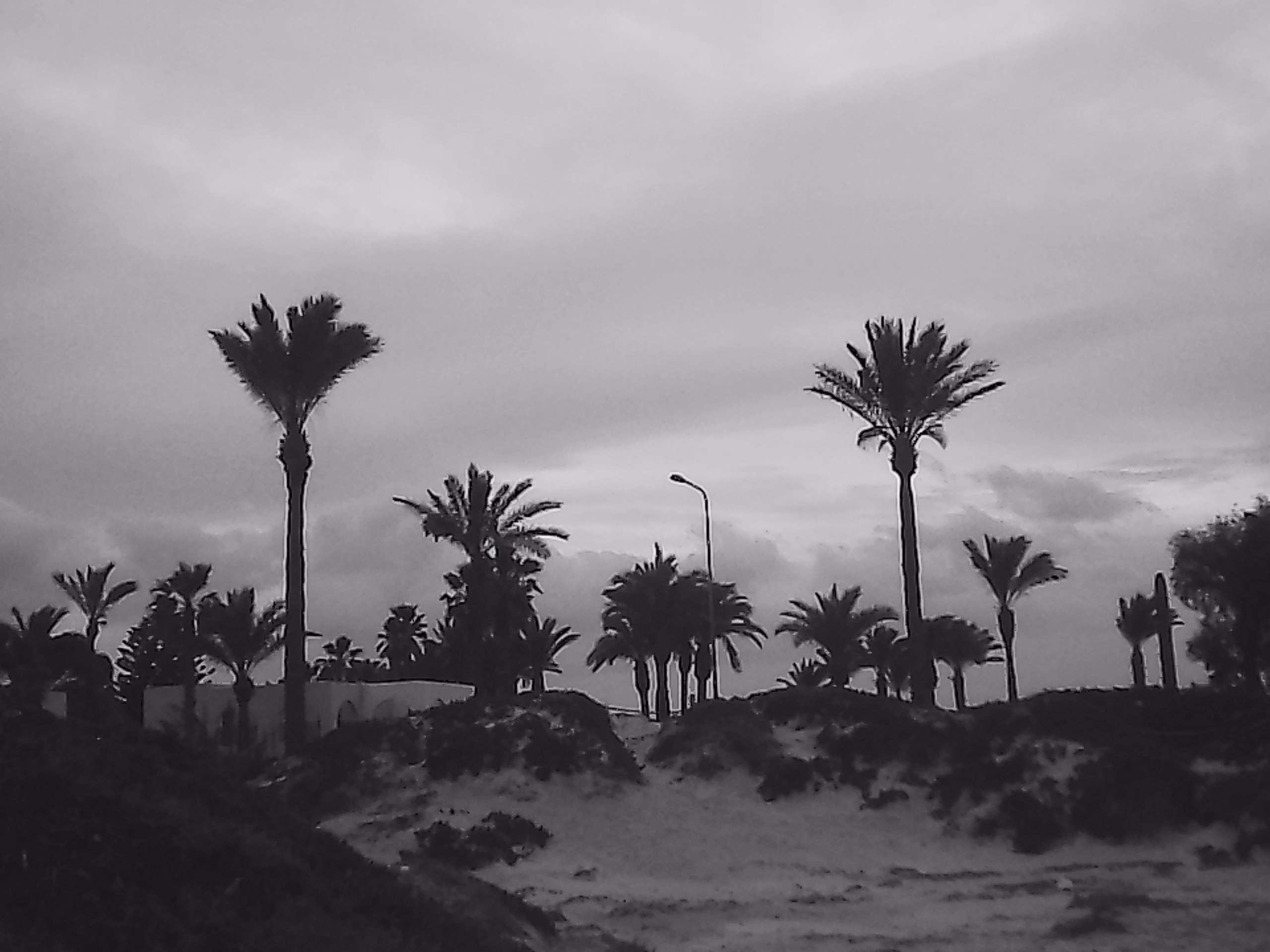 «Крошка 🐣». Anita_photo