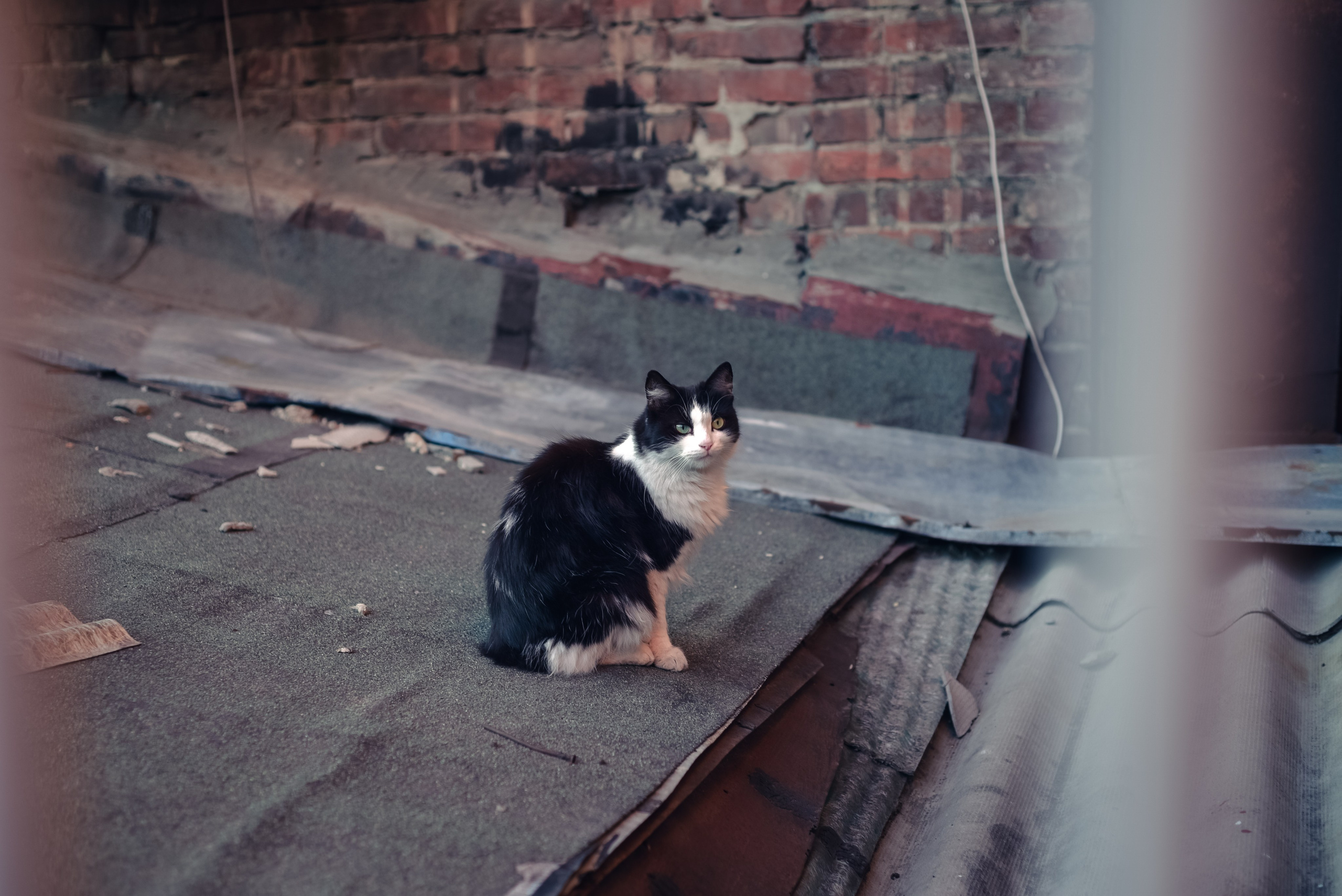 Ростов-на-Дону: через объектив фотографа из Гуанчжоу. Коммерческий и предметный фотограф в Гуанчжоу Коваленко Александр