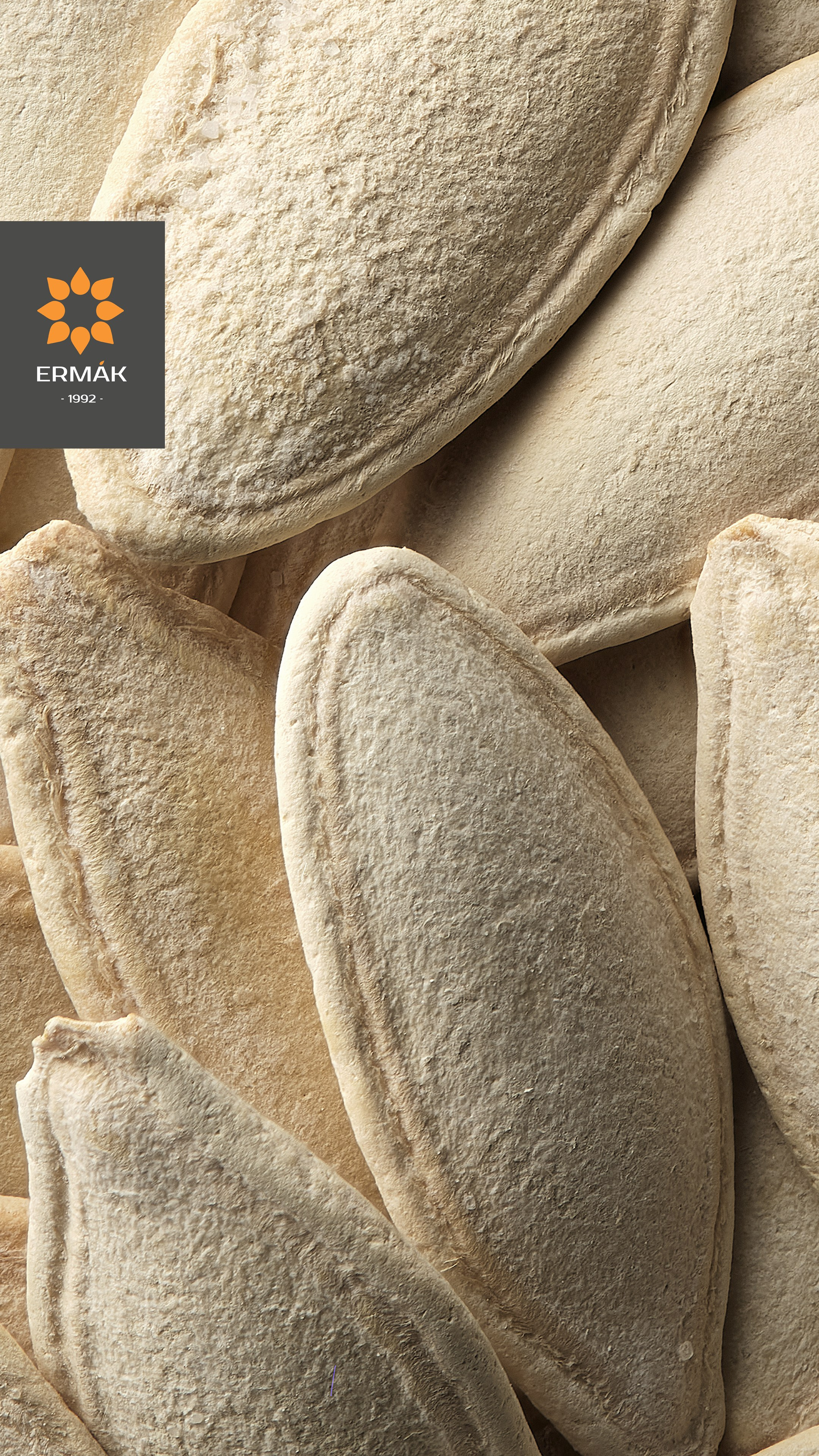 Фуд-фотосъёмка очищенных семян подсолнечника ERMAK в Алматы — текстурный крупный план для использования в каталогах и рекламе.