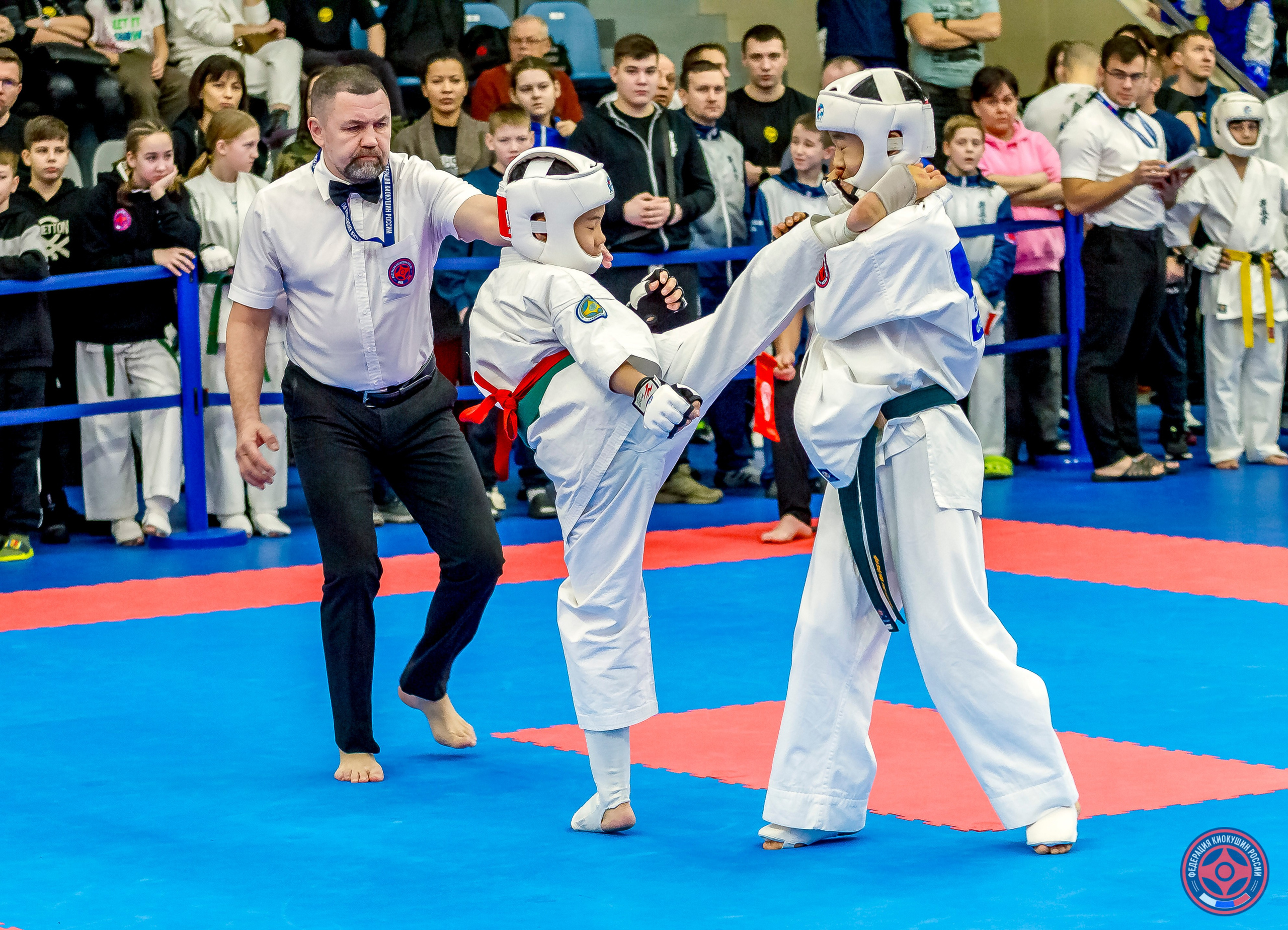 Международный турнир по киокушин «Открытый кубок Seiken». Репортажная съемка в Москве и области. Анималистика