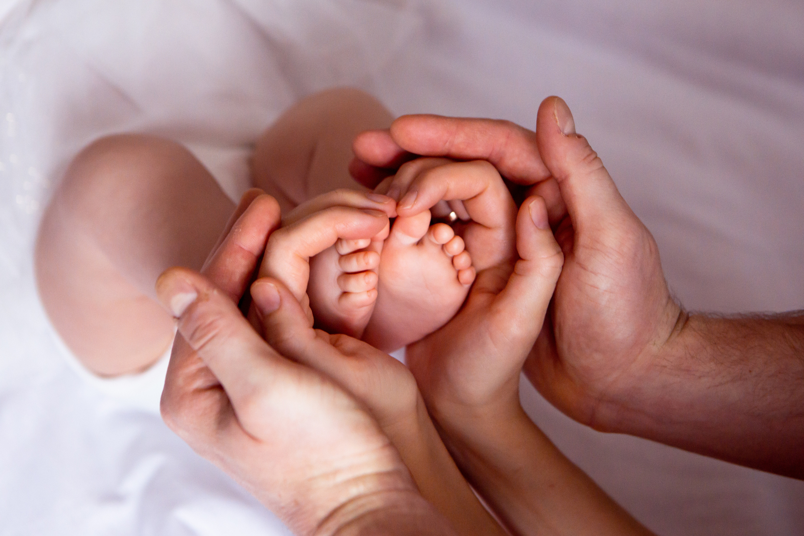 Семейные съёмки в студии и дома. Главная