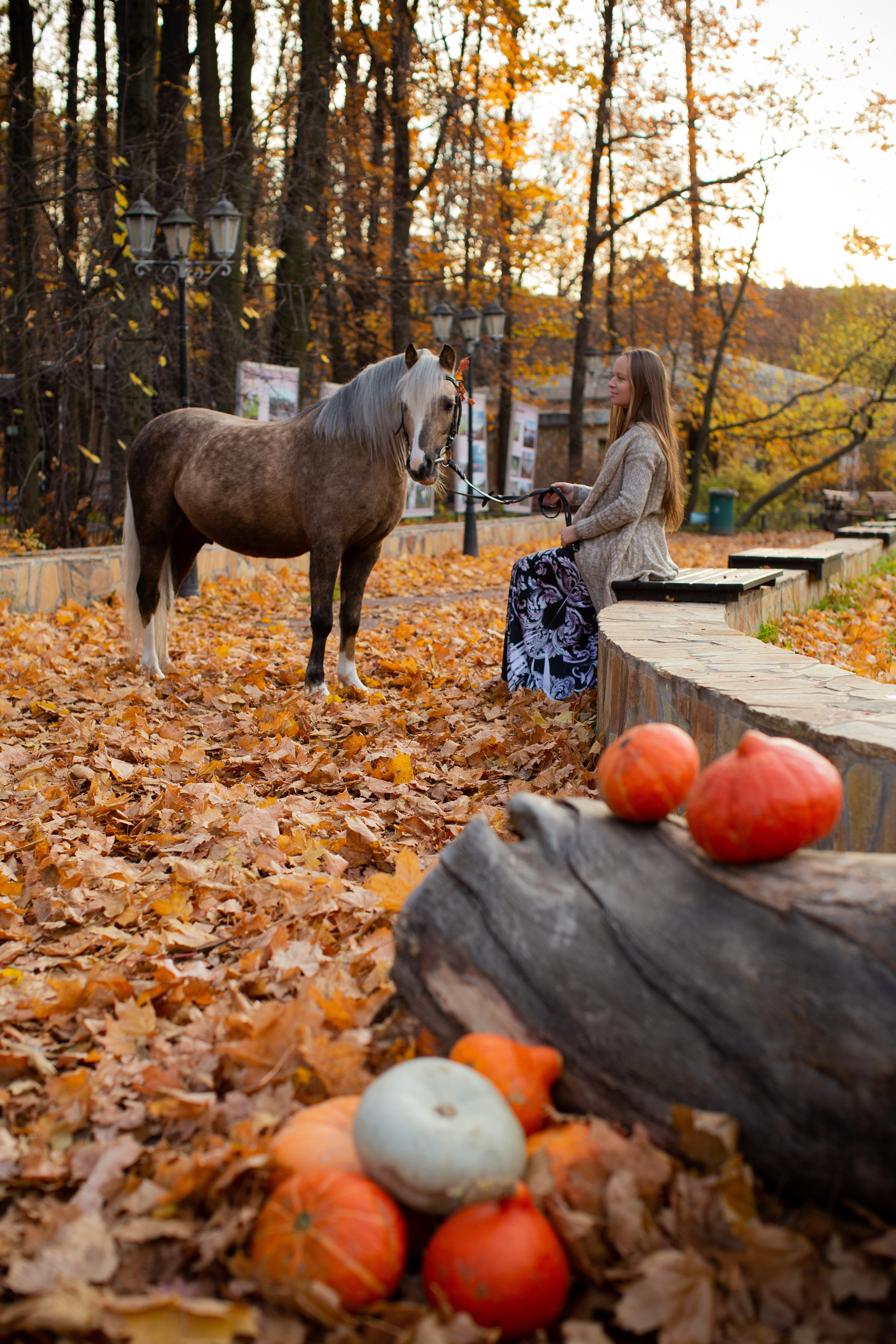 Съёмка беременности. Главная