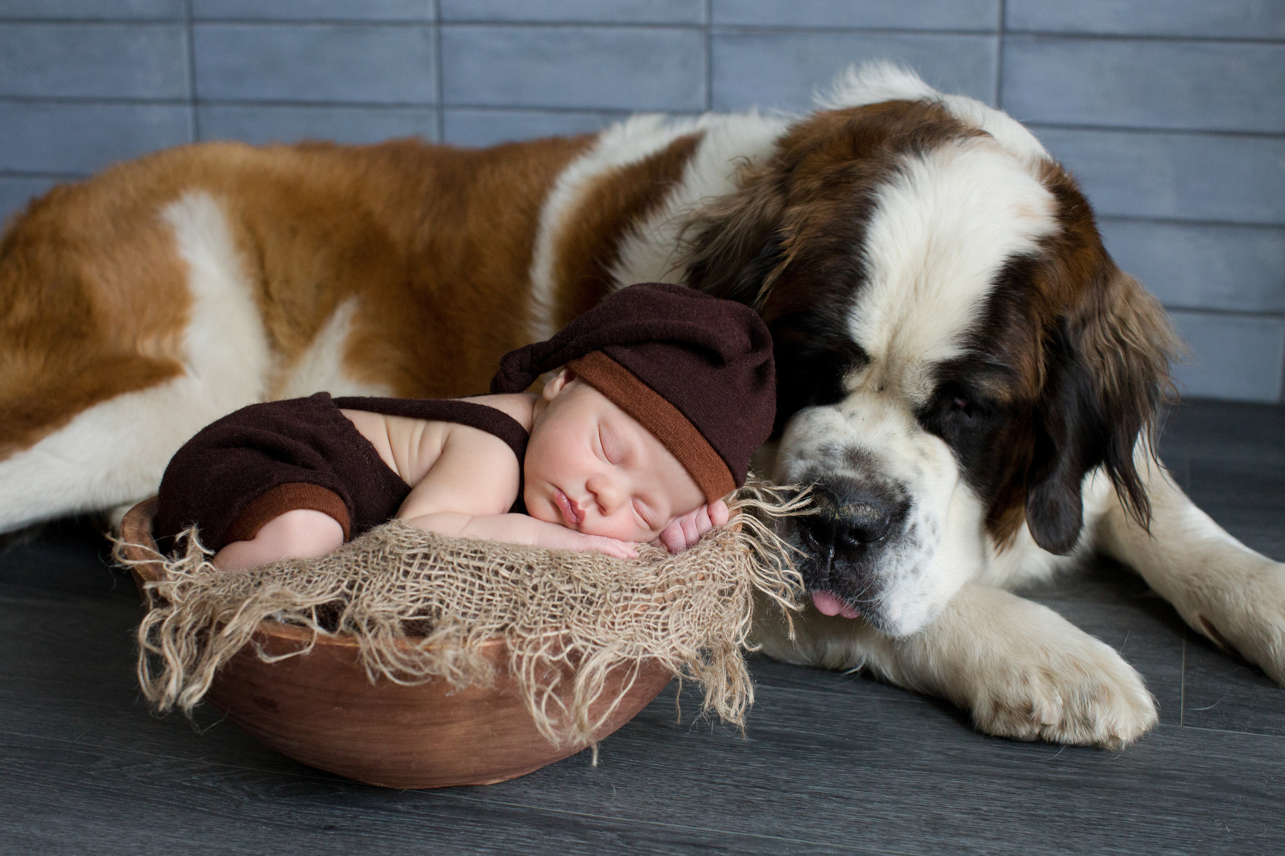 Съёмка новорождённых малышей на дому. Главная