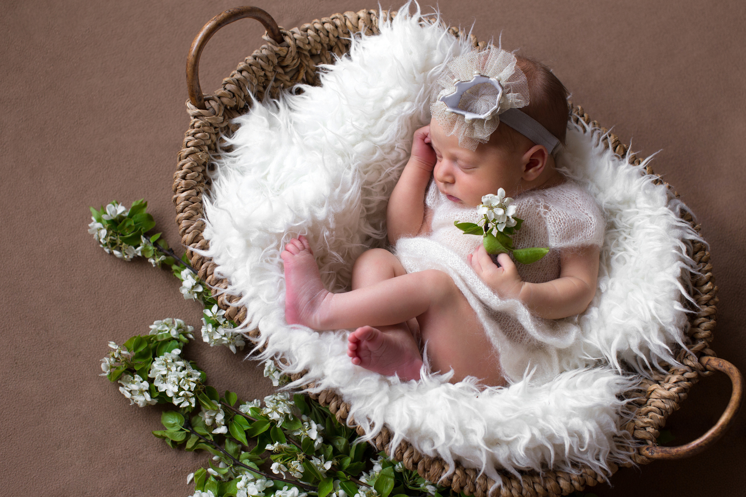 Съёмка новорождённых малышей на дому. Главная