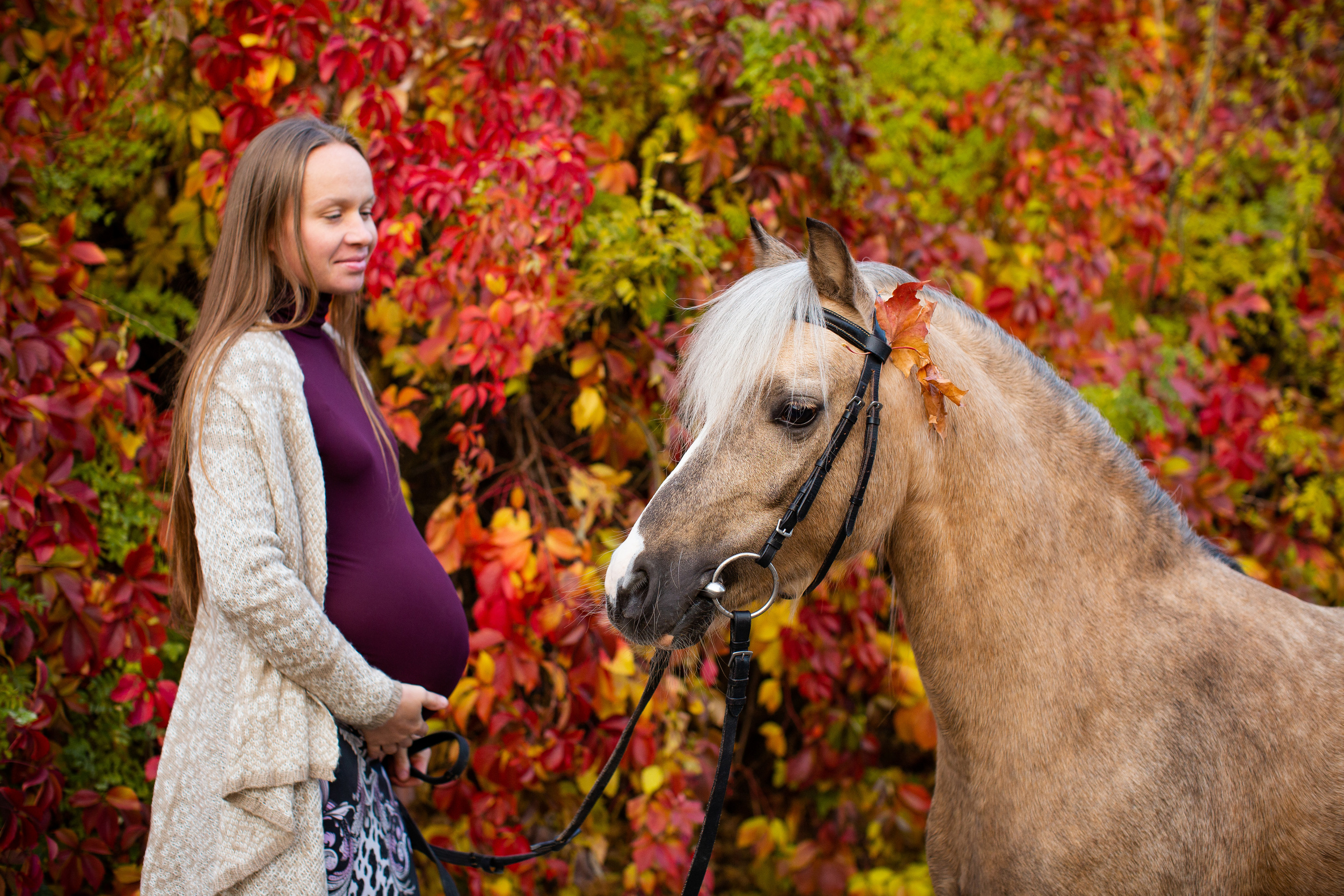 Съёмка беременности. Главная