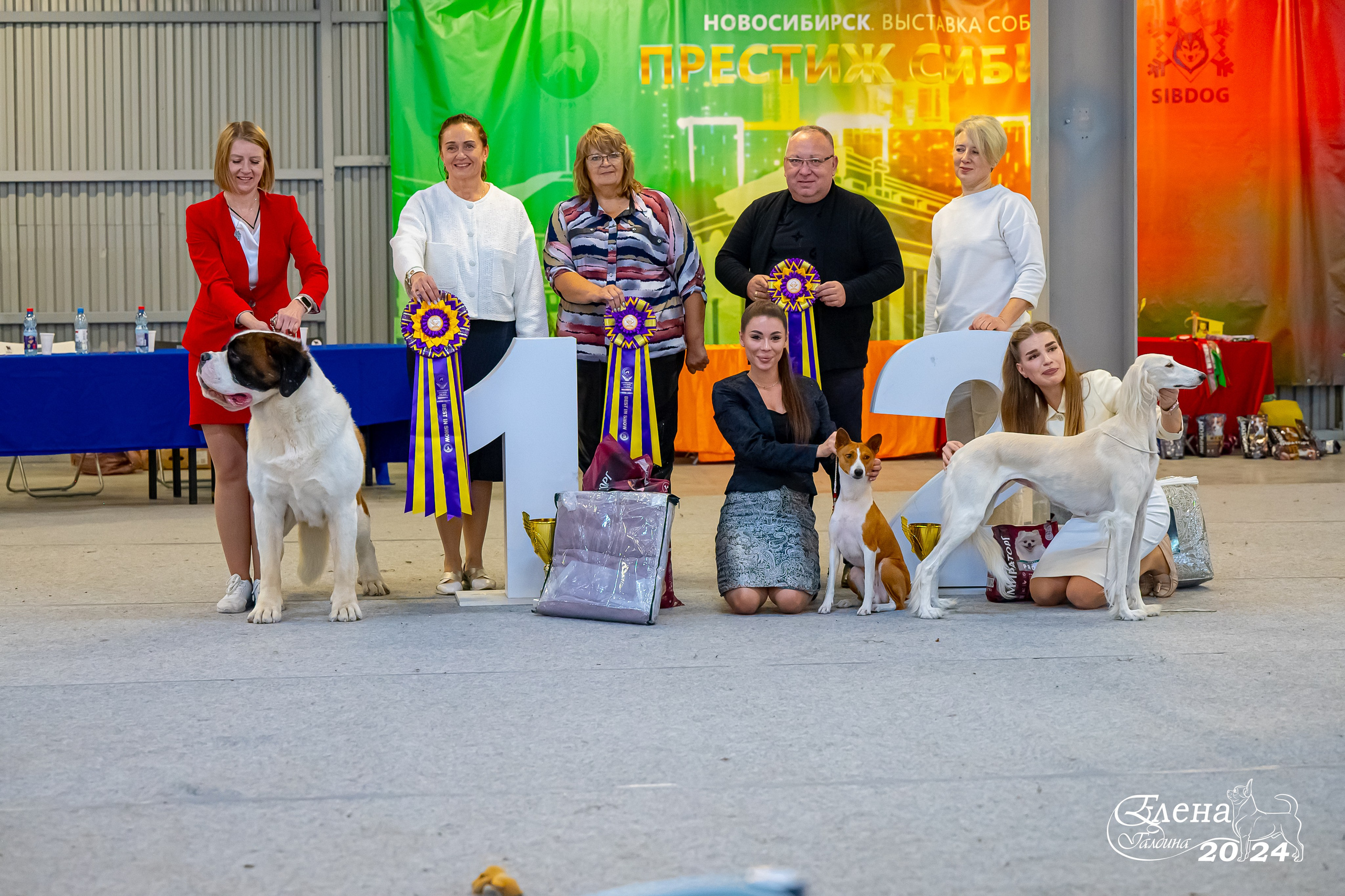 Главная. Фотограф анималист Елена Галдина г. Красноярск