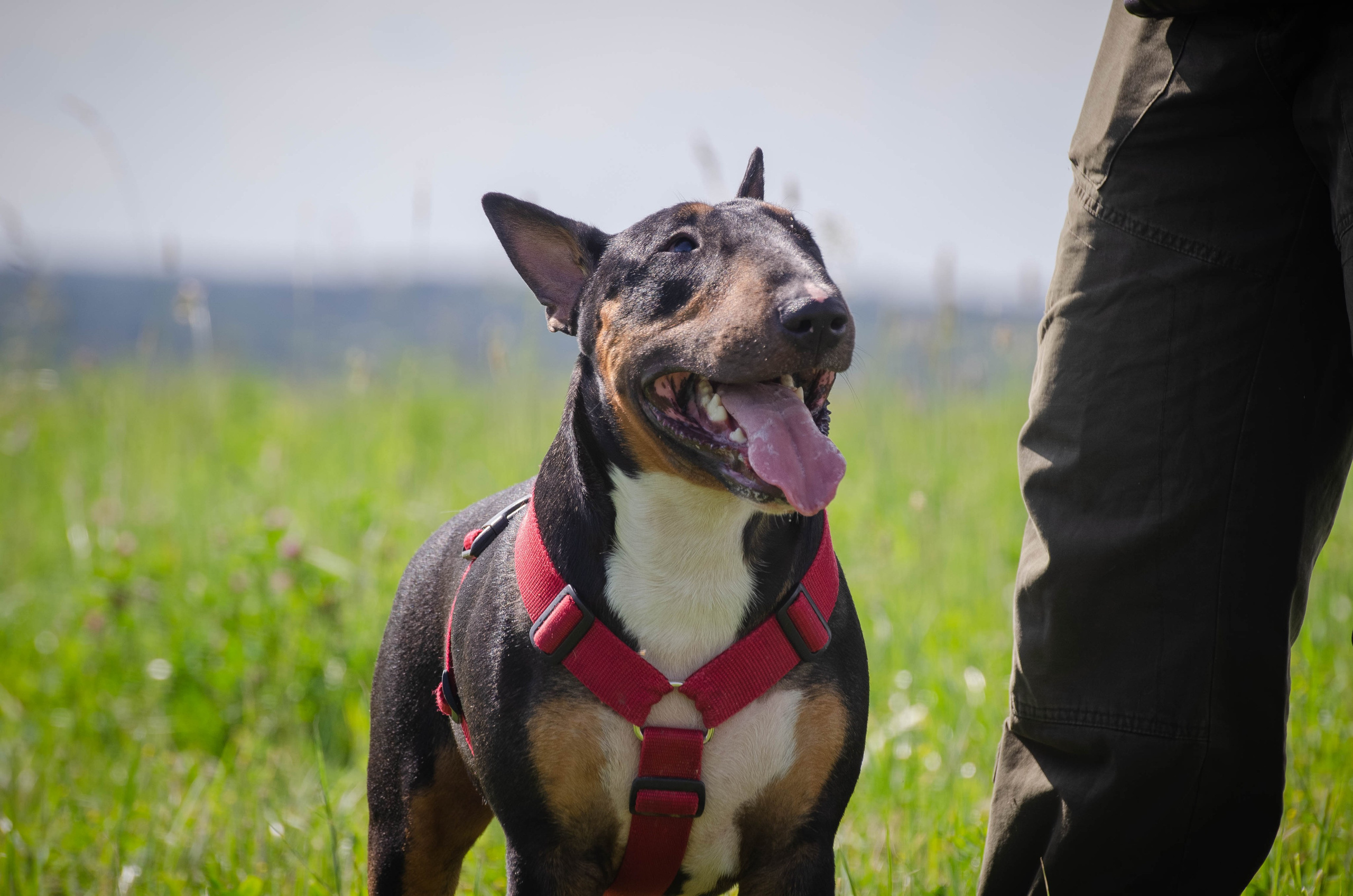 Прогулка (Лохин остров). Фотограф Светлана Блинова, Москва и Московская область